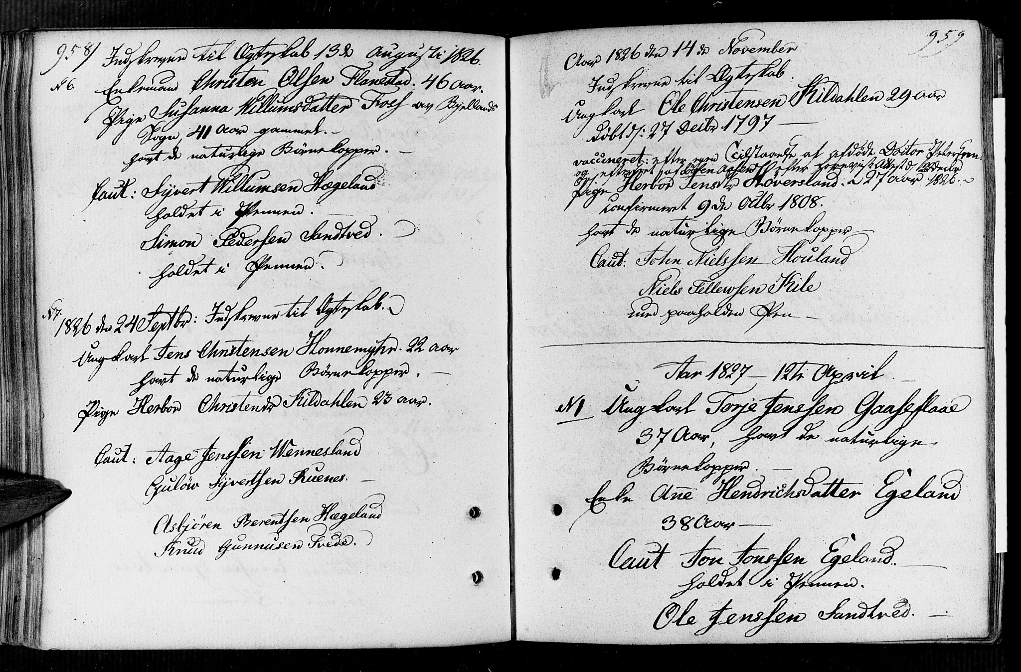 Vennesla sokneprestkontor, AV/SAK-1111-0045/Fa/Faa/L0002: Ministerialbok nr. A 2, 1785-1834, s. 958-959