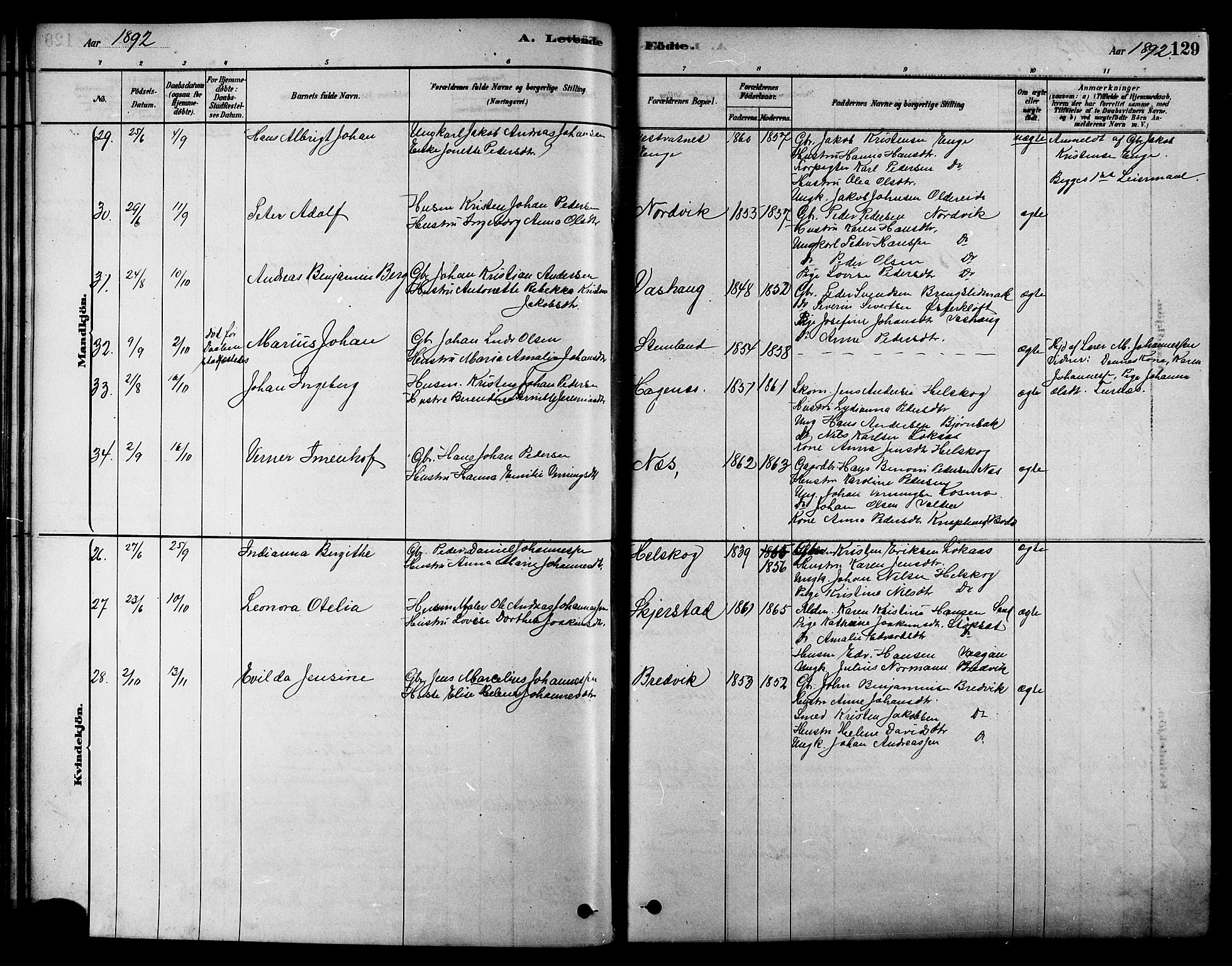 Ministerialprotokoller, klokkerbøker og fødselsregistre - Nordland, AV/SAT-A-1459/852/L0740: Ministerialbok nr. 852A10, 1878-1894, s. 129