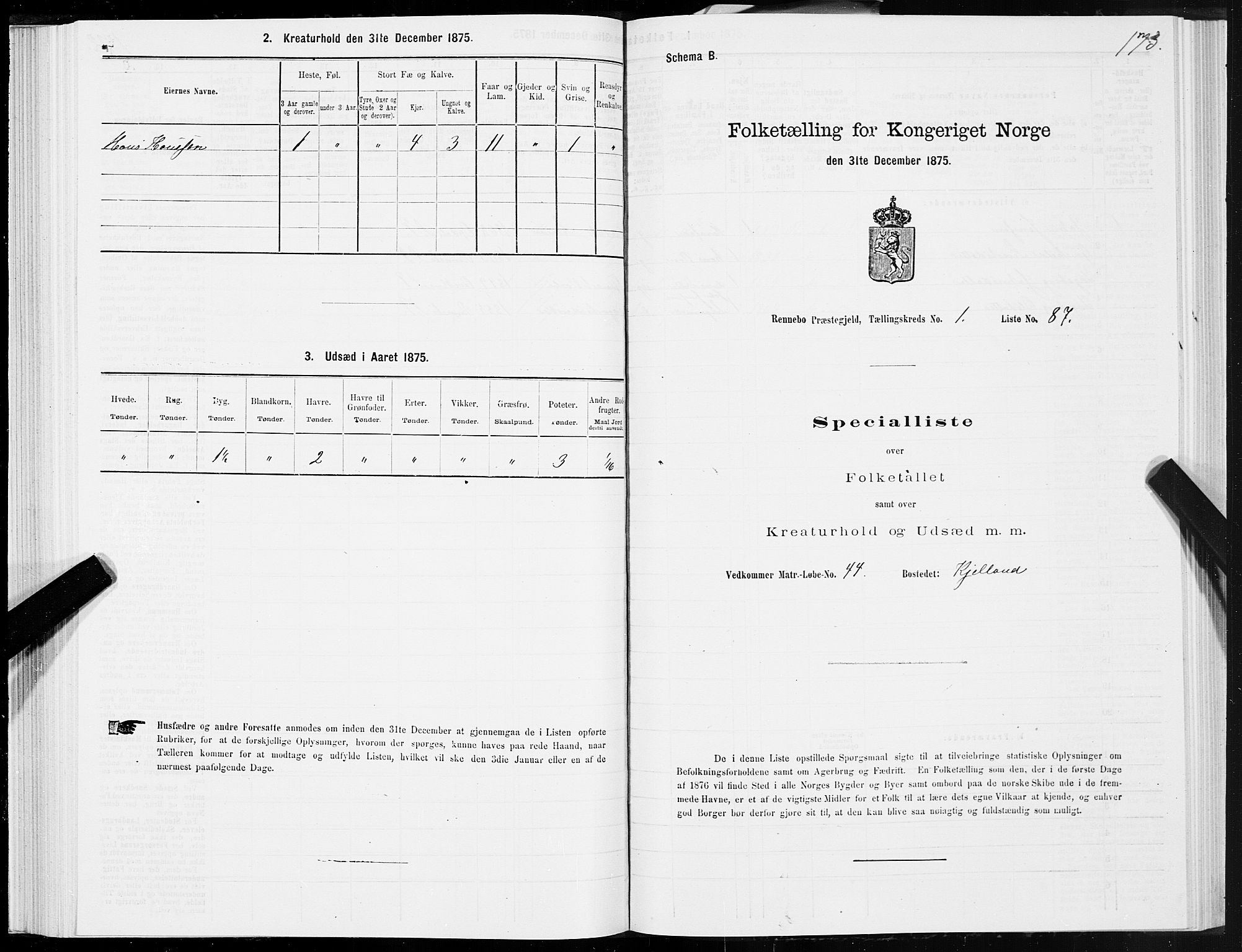 SAT, Folketelling 1875 for 1635P Rennebu prestegjeld, 1875, s. 1173