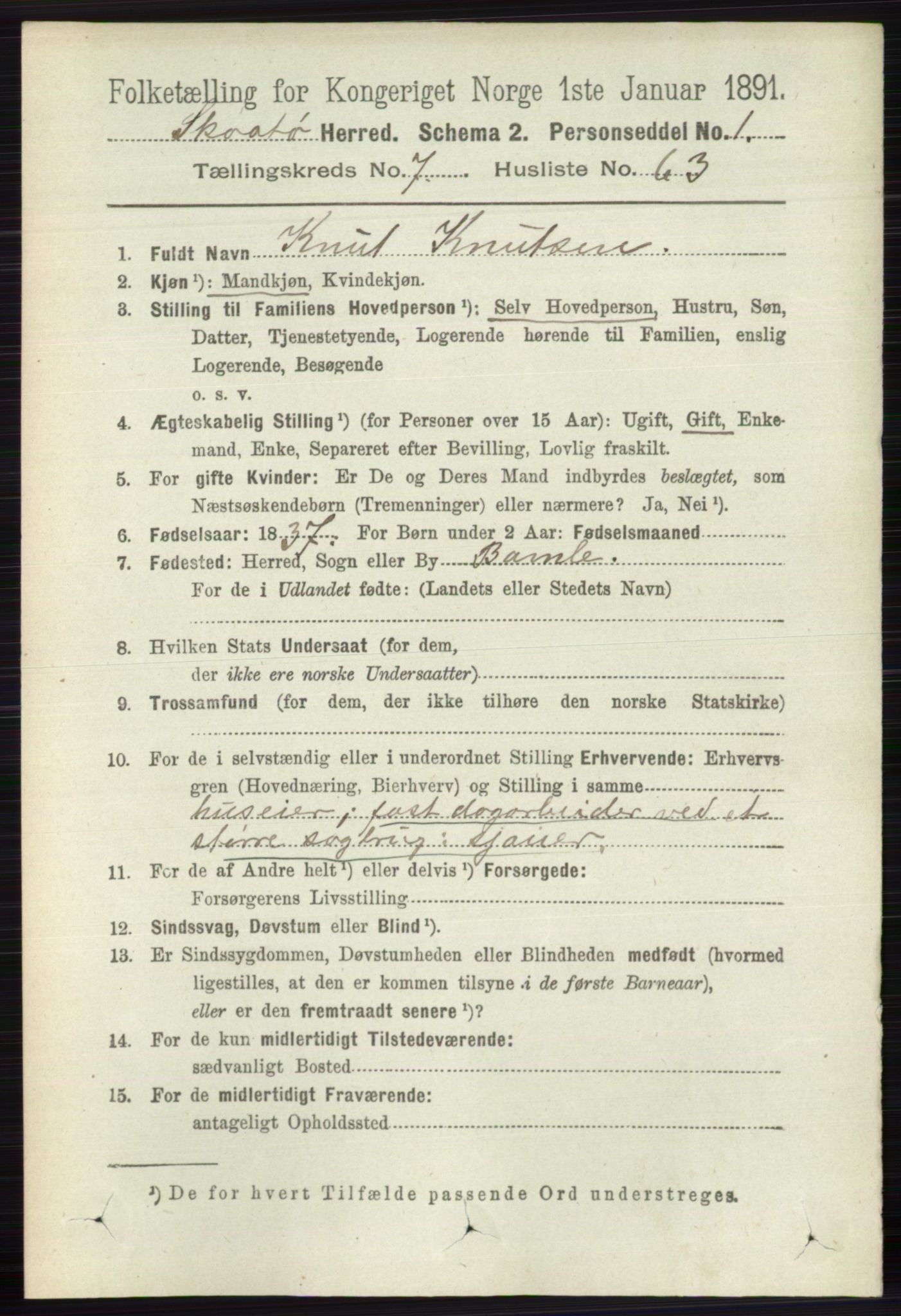 RA, Folketelling 1891 for 0815 Skåtøy herred, 1891, s. 3399