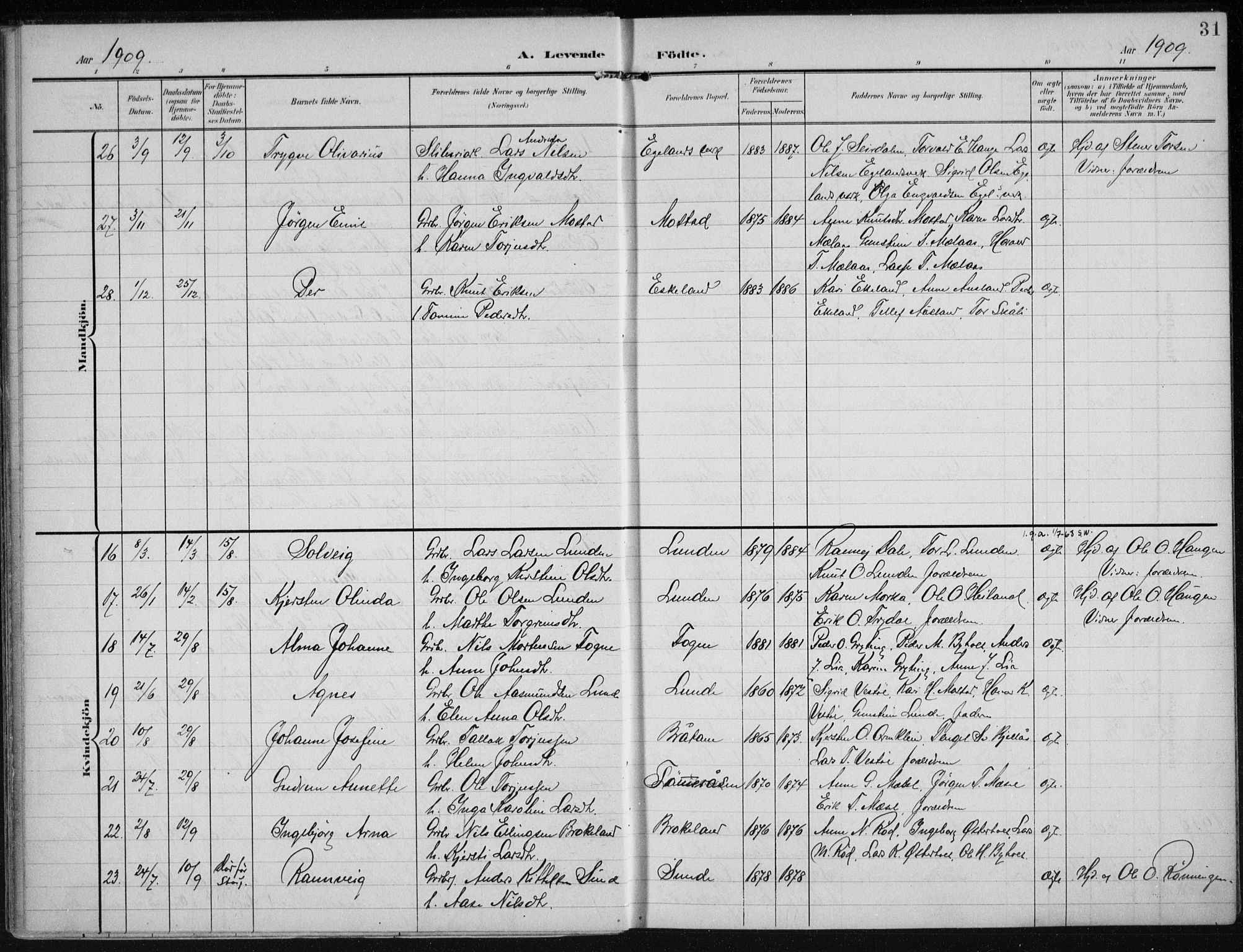 Gjerstad sokneprestkontor, AV/SAK-1111-0014/F/Fa/Faa/L0011: Ministerialbok nr. A 11, 1903-1914, s. 31