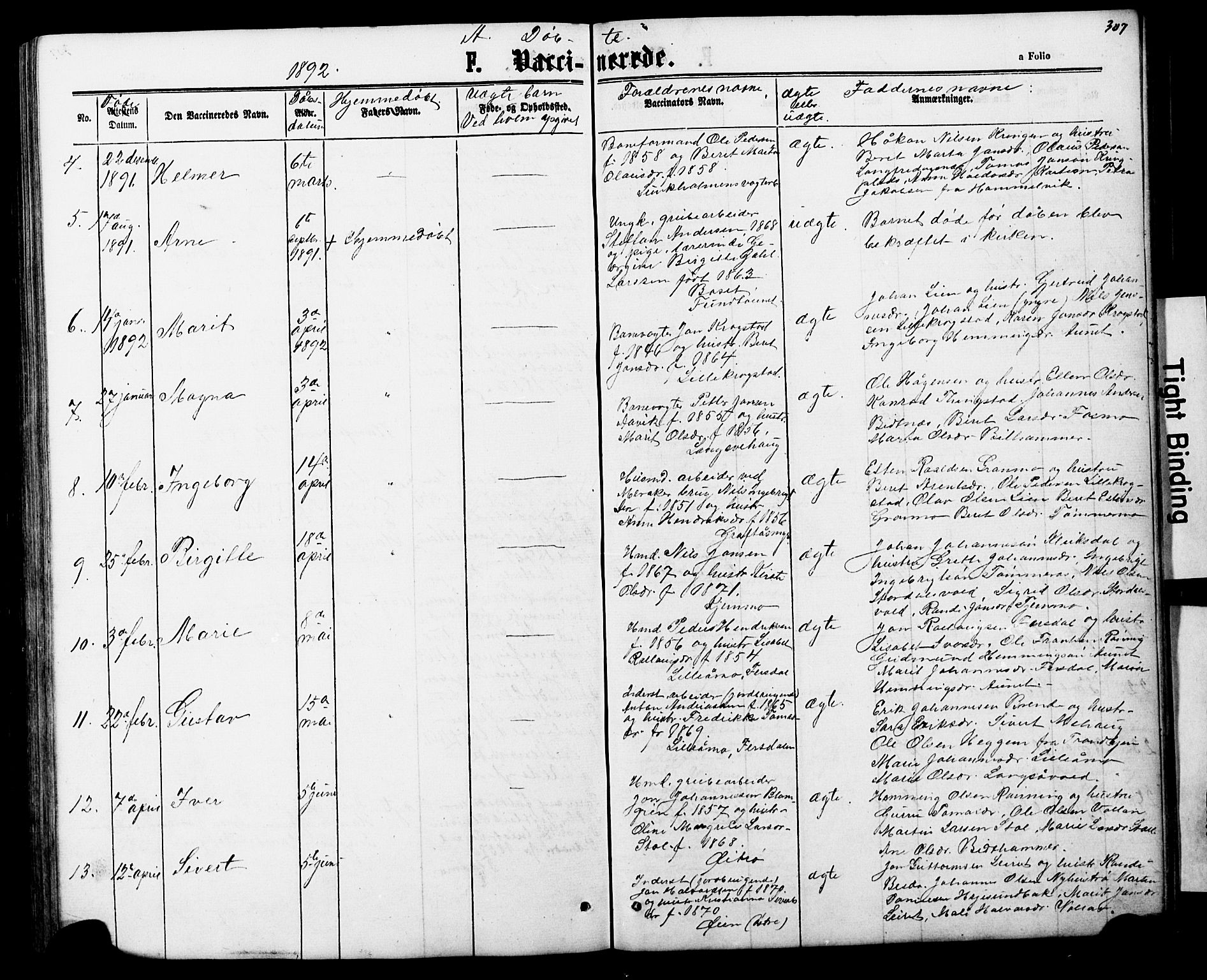 Ministerialprotokoller, klokkerbøker og fødselsregistre - Nord-Trøndelag, AV/SAT-A-1458/706/L0049: Klokkerbok nr. 706C01, 1864-1895, s. 307