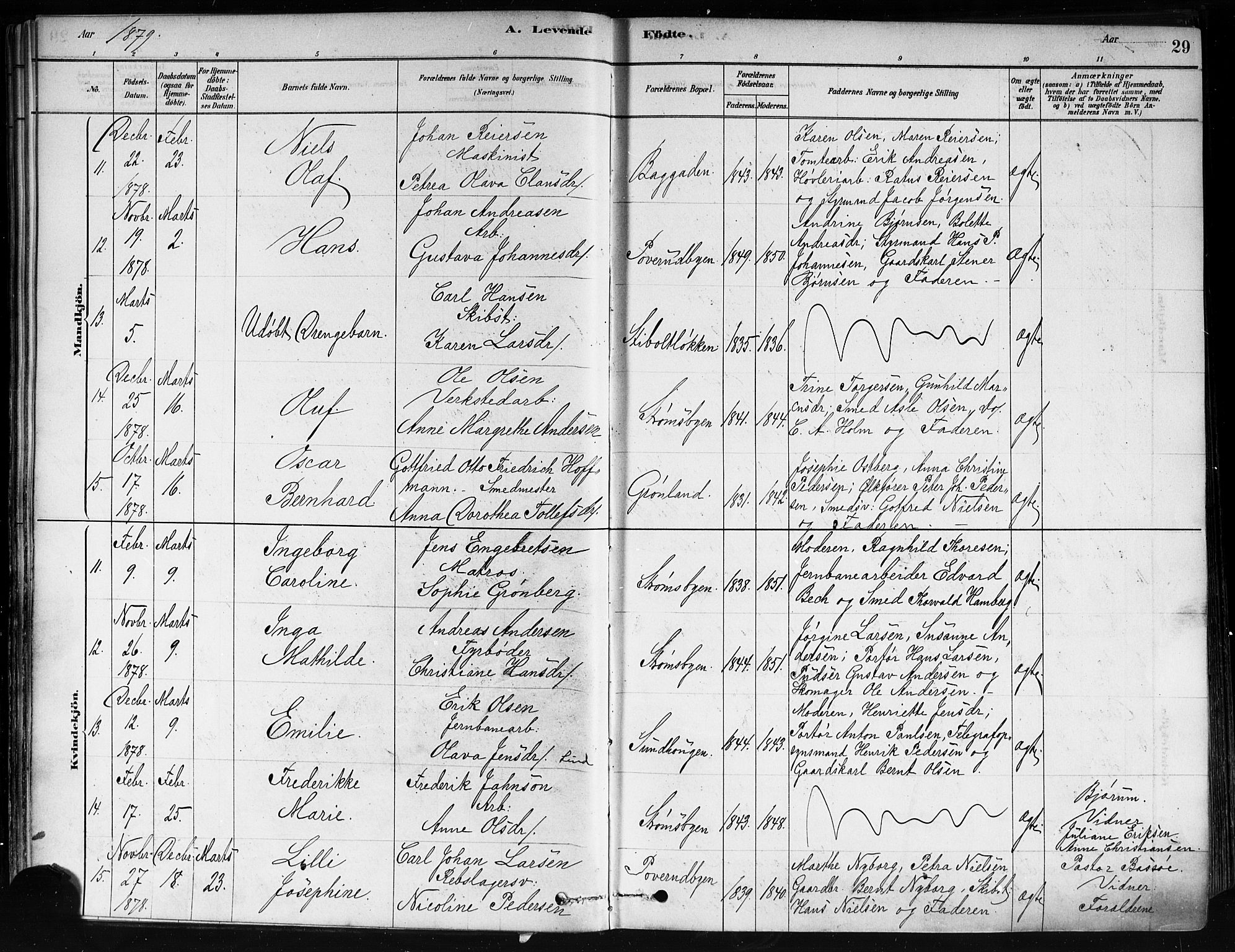 Strømsø kirkebøker, AV/SAKO-A-246/F/Fa/L0021: Ministerialbok nr. I 21, 1878-1885, s. 29