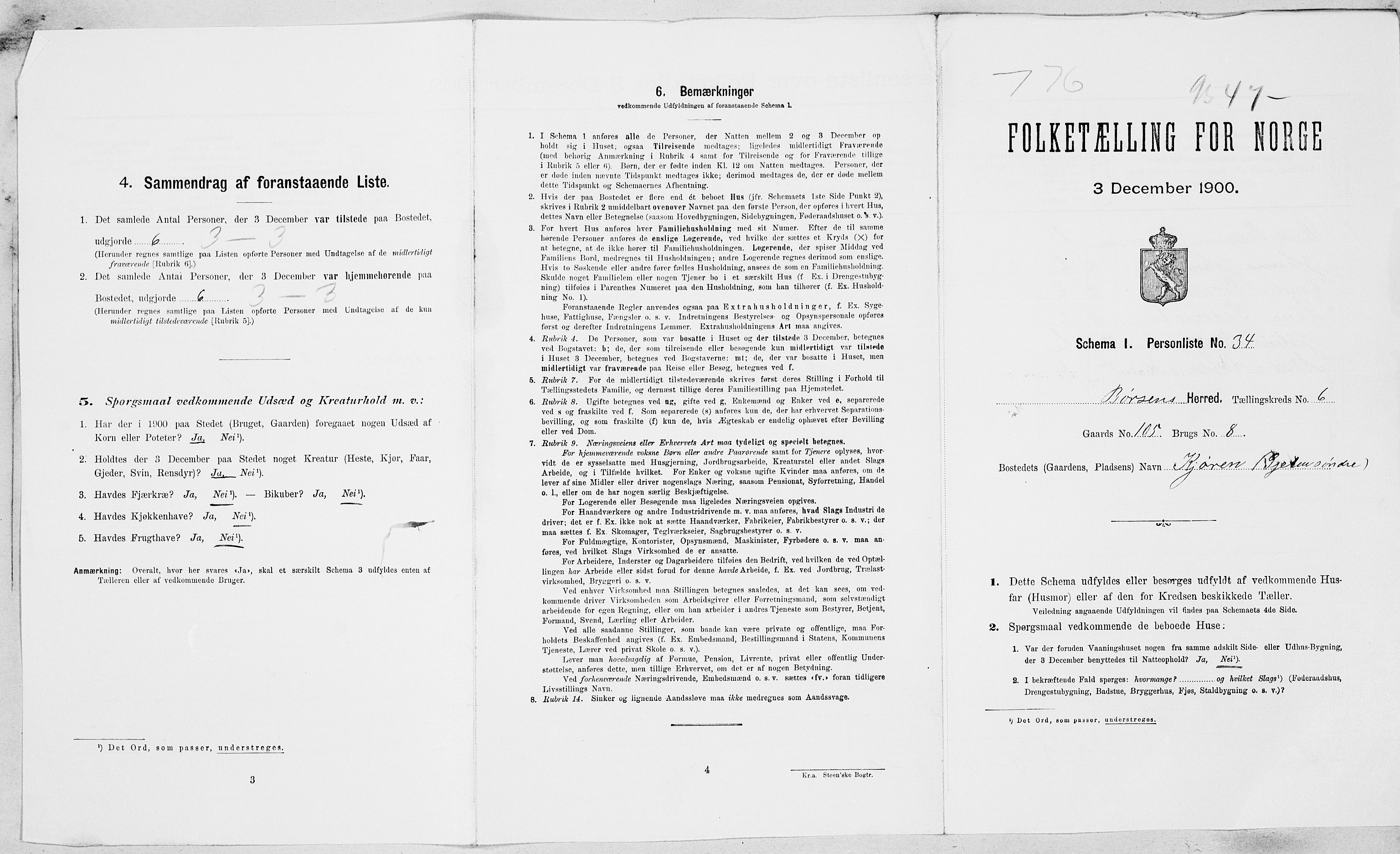 SAT, Folketelling 1900 for 1658 Børsa herred, 1900, s. 717