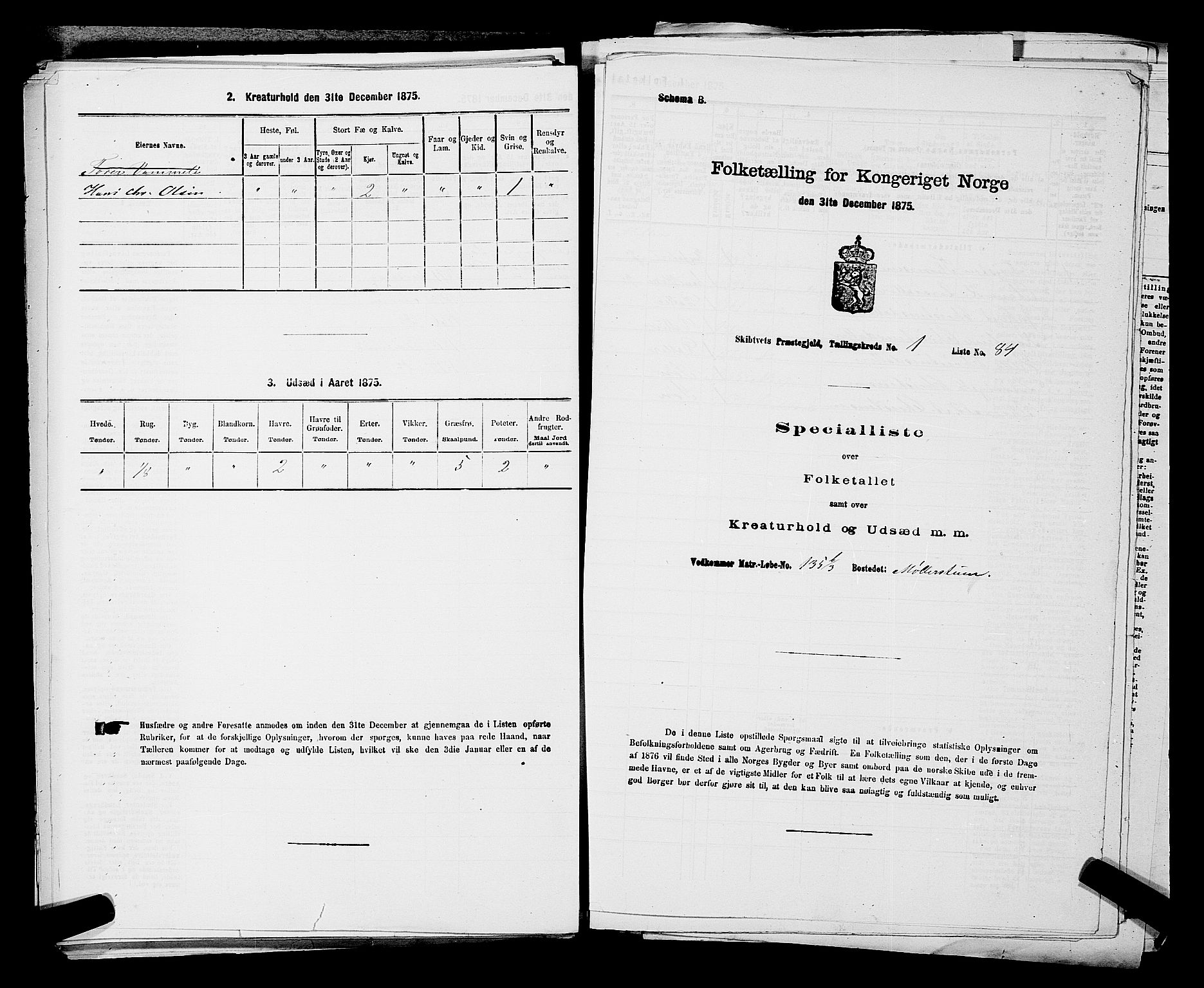 RA, Folketelling 1875 for 0127P Skiptvet prestegjeld, 1875, s. 196