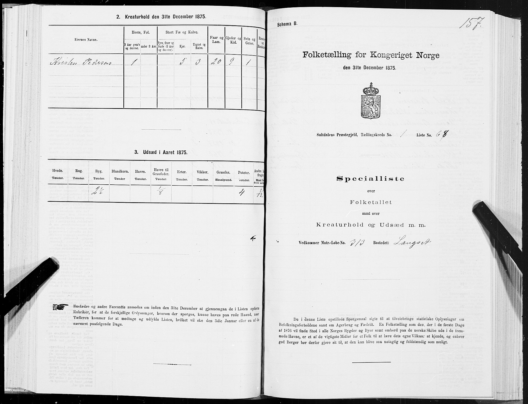 SAT, Folketelling 1875 for 1840P Saltdal prestegjeld, 1875, s. 1157