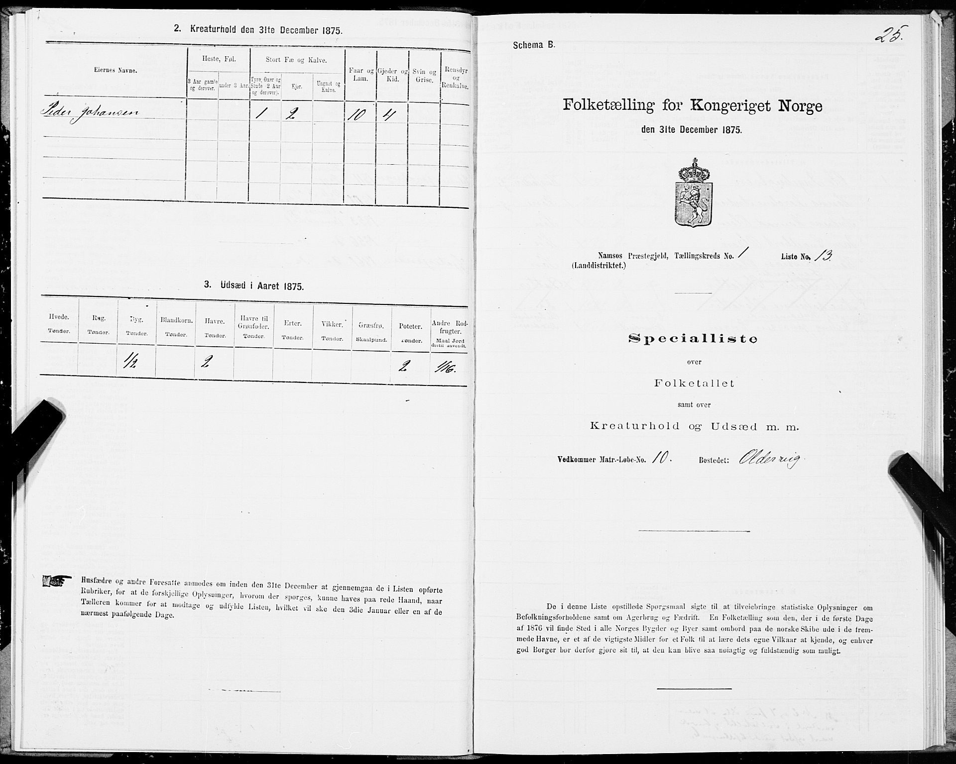 SAT, Folketelling 1875 for 1745L Namsos prestegjeld, Vemundvik sokn og Sævik sokn, 1875, s. 1025