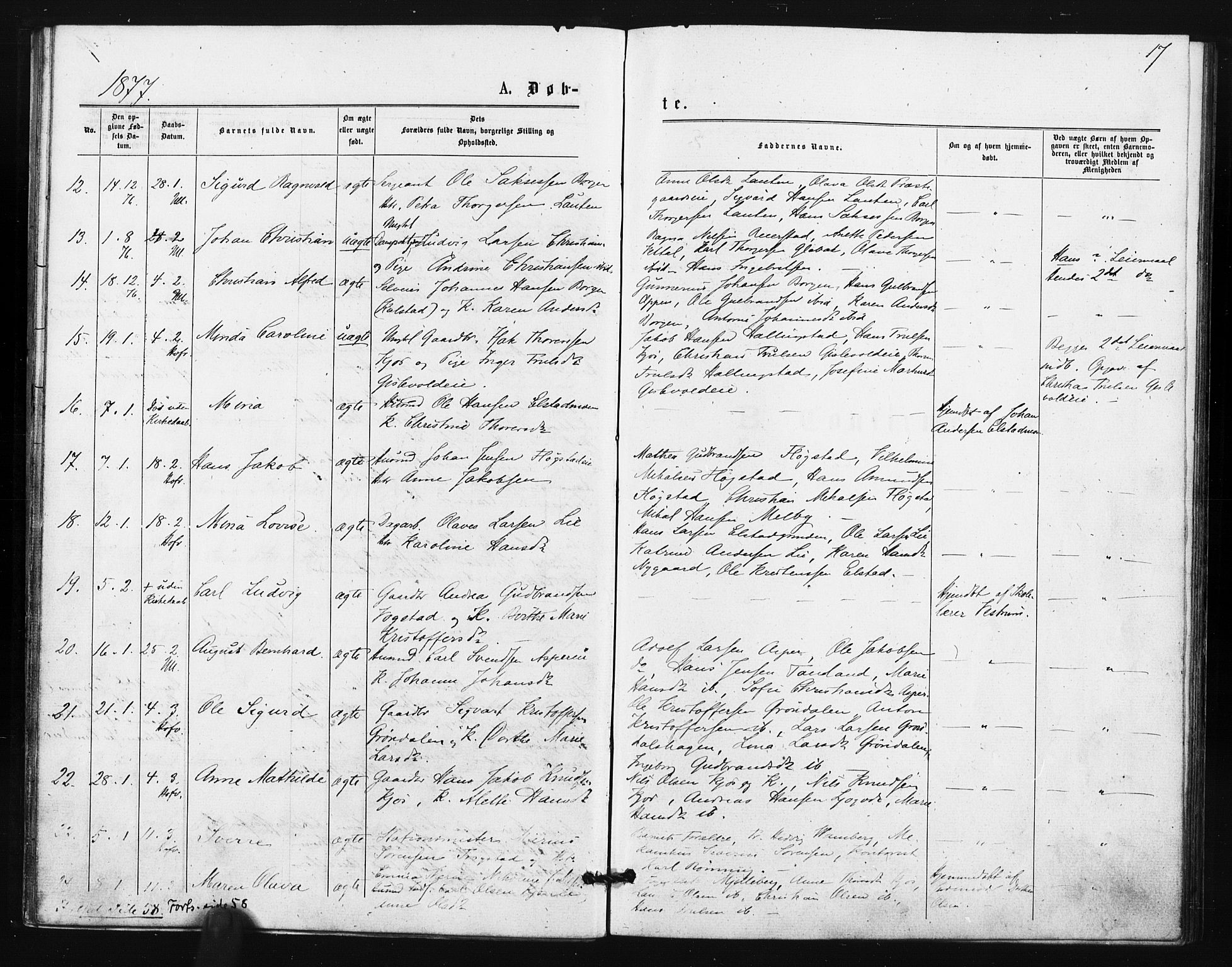 Ullensaker prestekontor Kirkebøker, AV/SAO-A-10236a/F/Fa/L0018: Ministerialbok nr. I 18, 1876-1877, s. 17