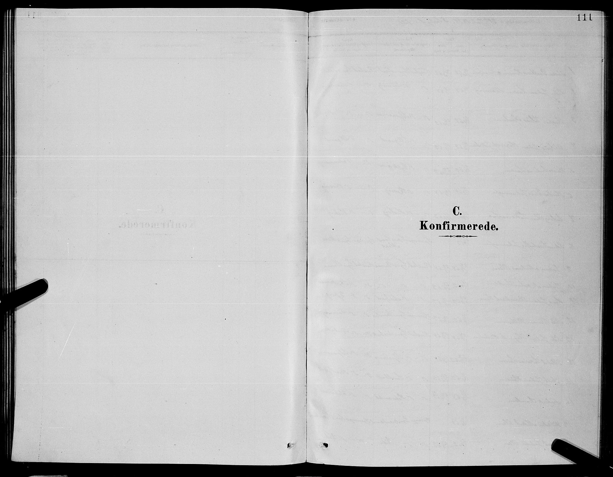 Ministerialprotokoller, klokkerbøker og fødselsregistre - Nordland, AV/SAT-A-1459/853/L0776: Klokkerbok nr. 853C04, 1878-1889, s. 111