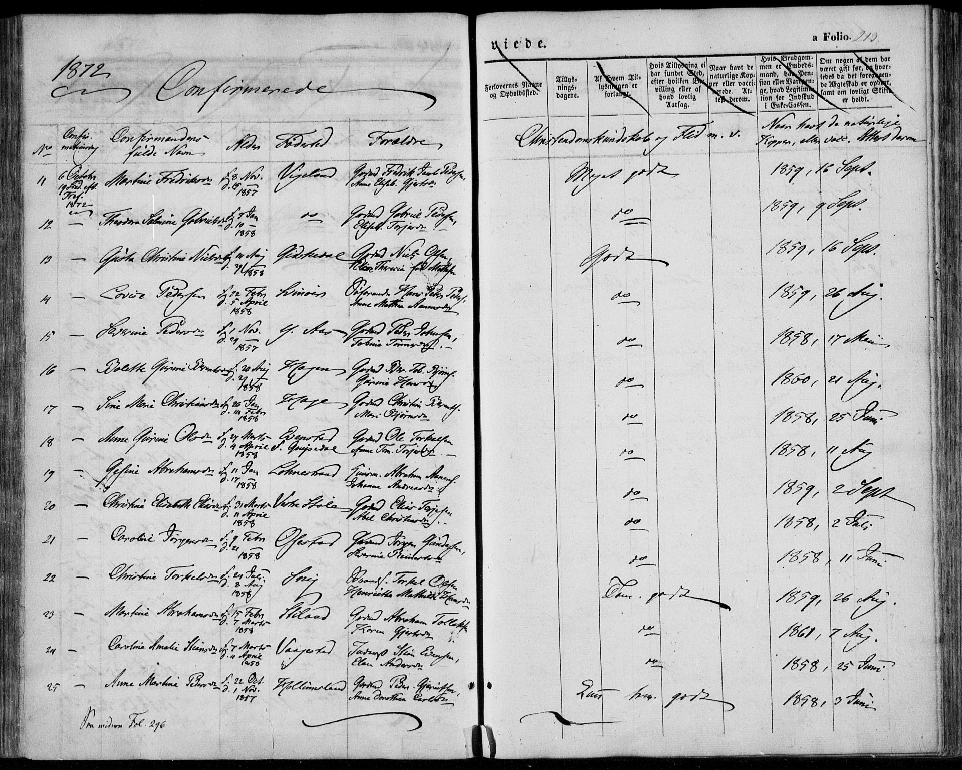 Sør-Audnedal sokneprestkontor, AV/SAK-1111-0039/F/Fa/Fab/L0007: Ministerialbok nr. A 7, 1855-1876, s. 213