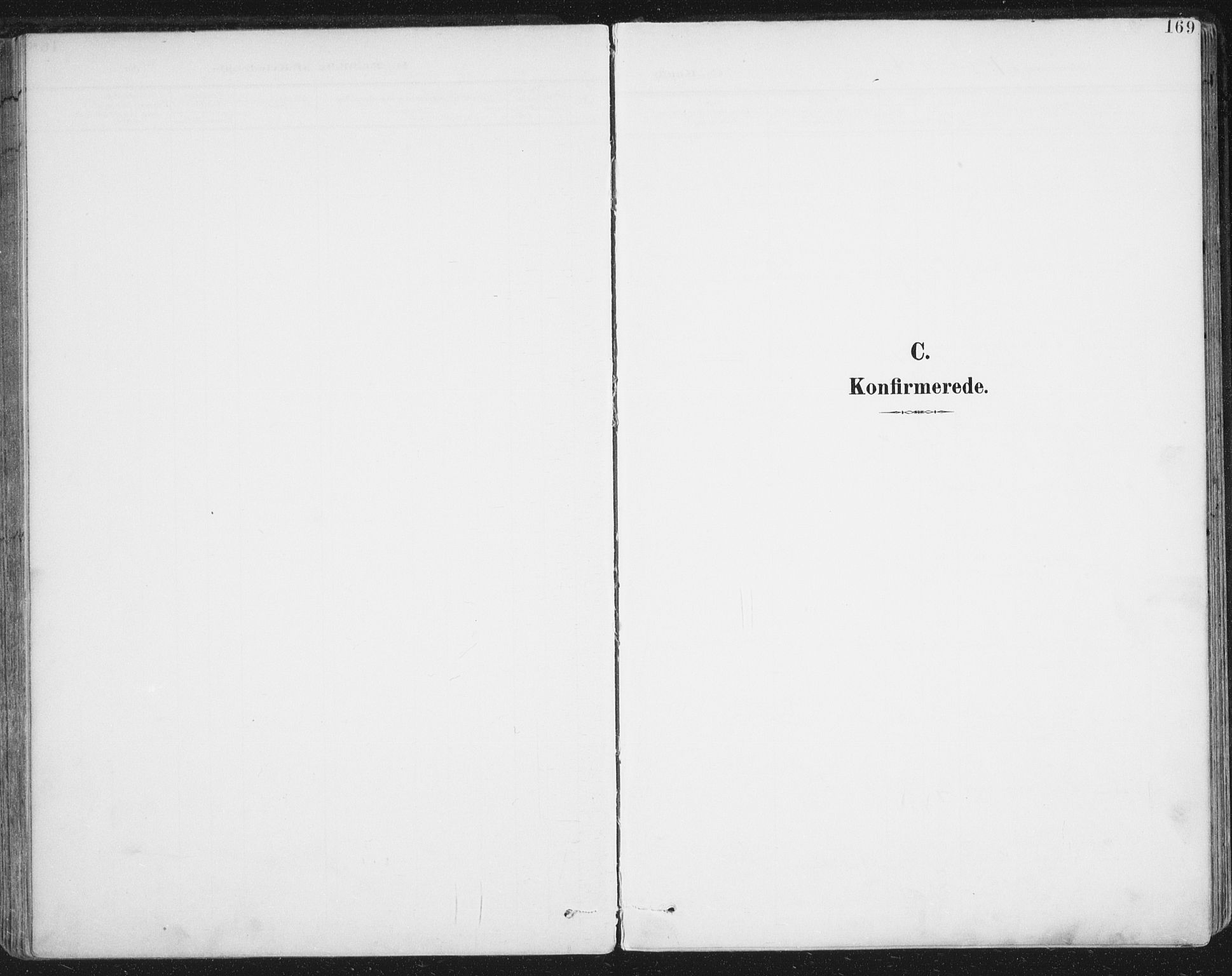 Ministerialprotokoller, klokkerbøker og fødselsregistre - Nordland, AV/SAT-A-1459/852/L0741: Ministerialbok nr. 852A11, 1894-1917, s. 169