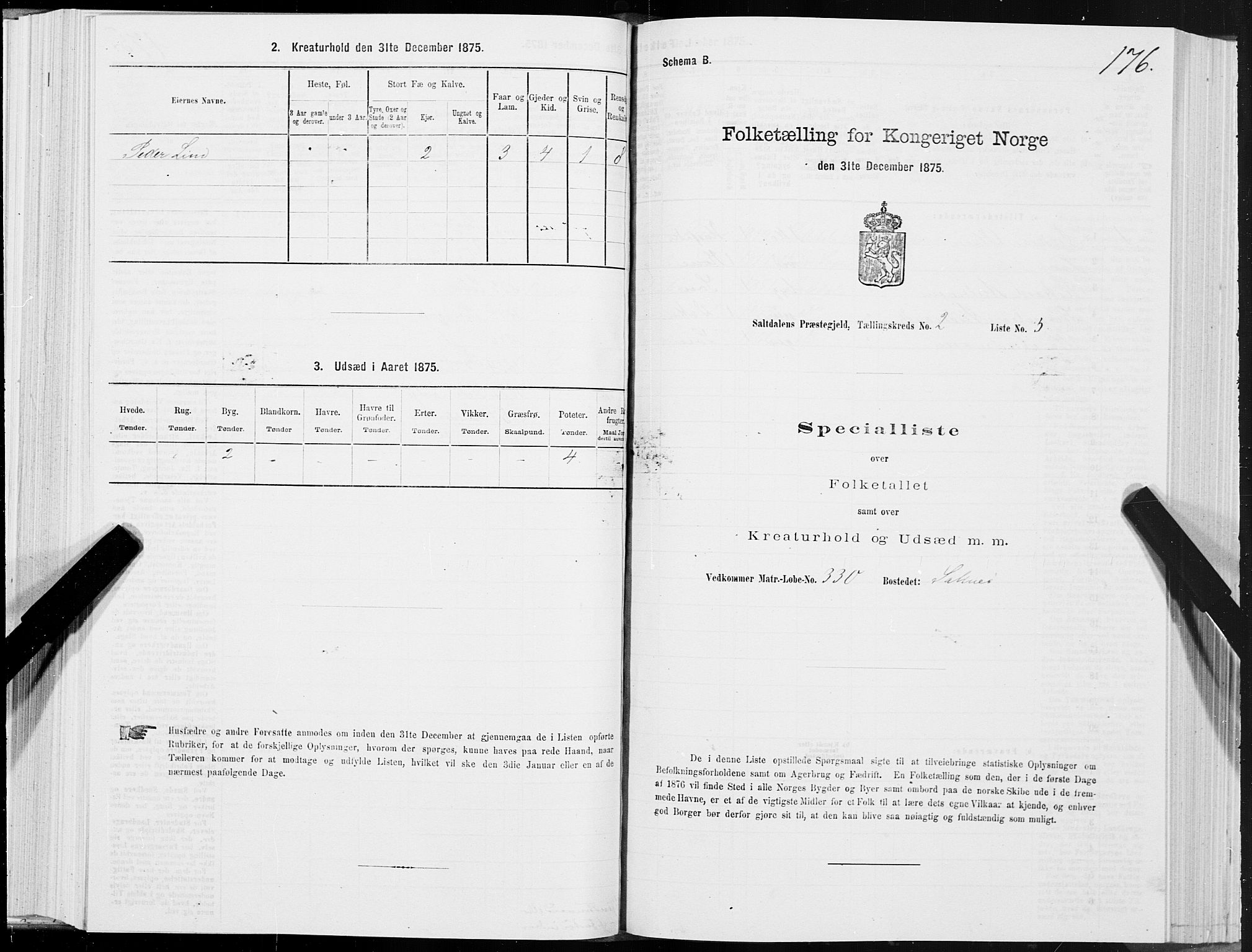 SAT, Folketelling 1875 for 1840P Saltdal prestegjeld, 1875, s. 1176