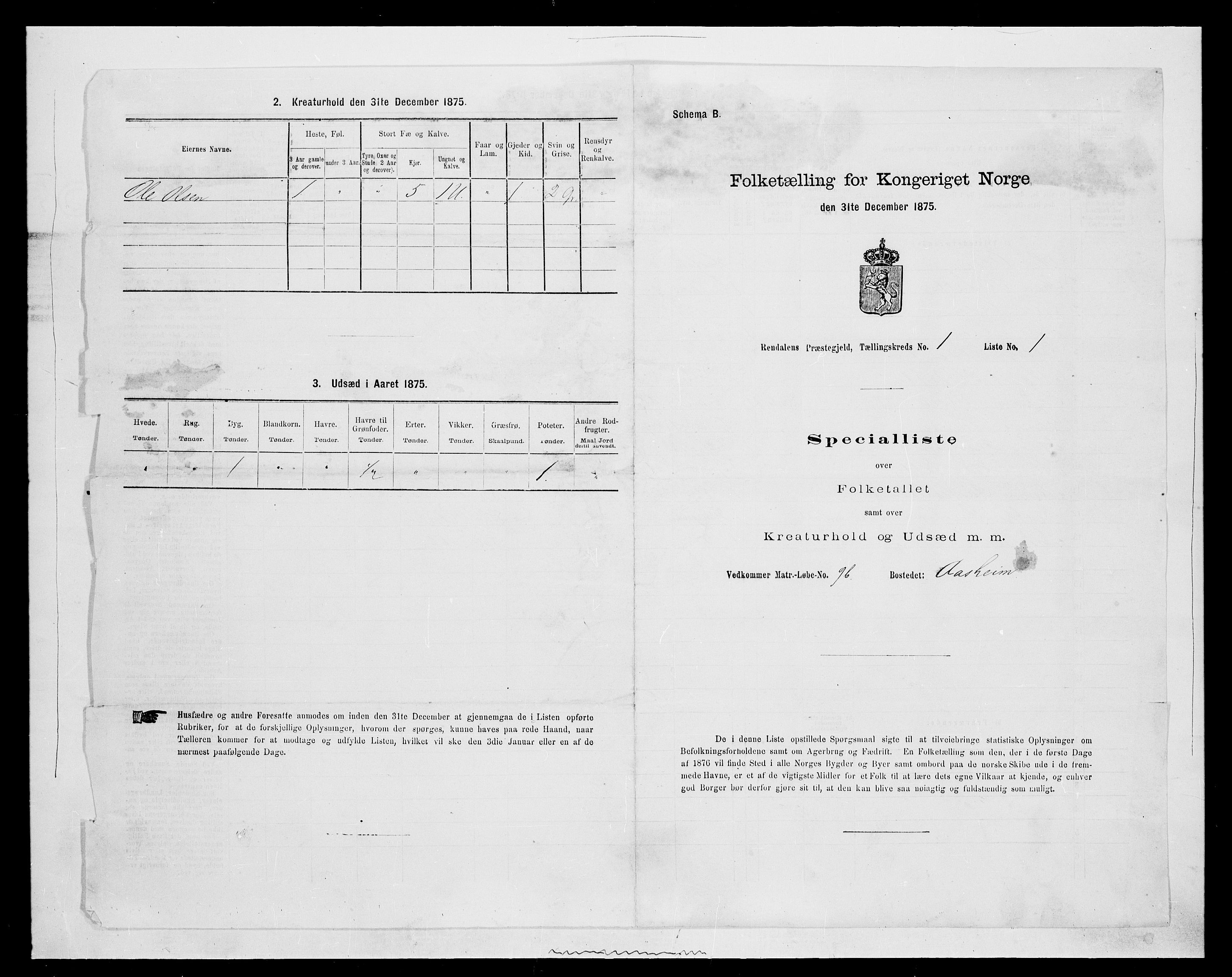 SAH, Folketelling 1875 for 0432P Rendalen prestegjeld, 1875, s. 107