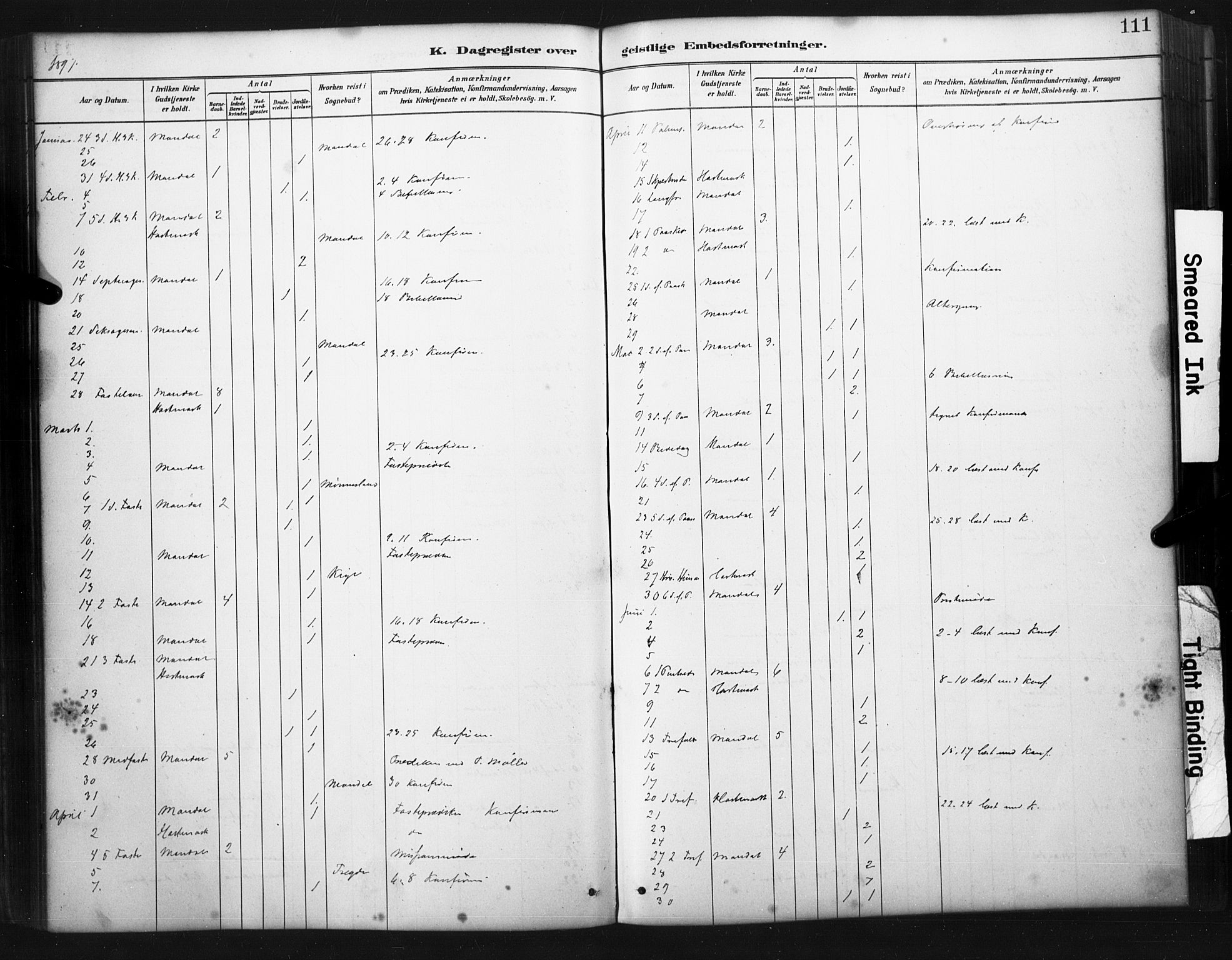 Mandal sokneprestkontor, SAK/1111-0030/F/Fa/Faa/L0017: Ministerialbok nr. A 17, 1880-1926, s. 111