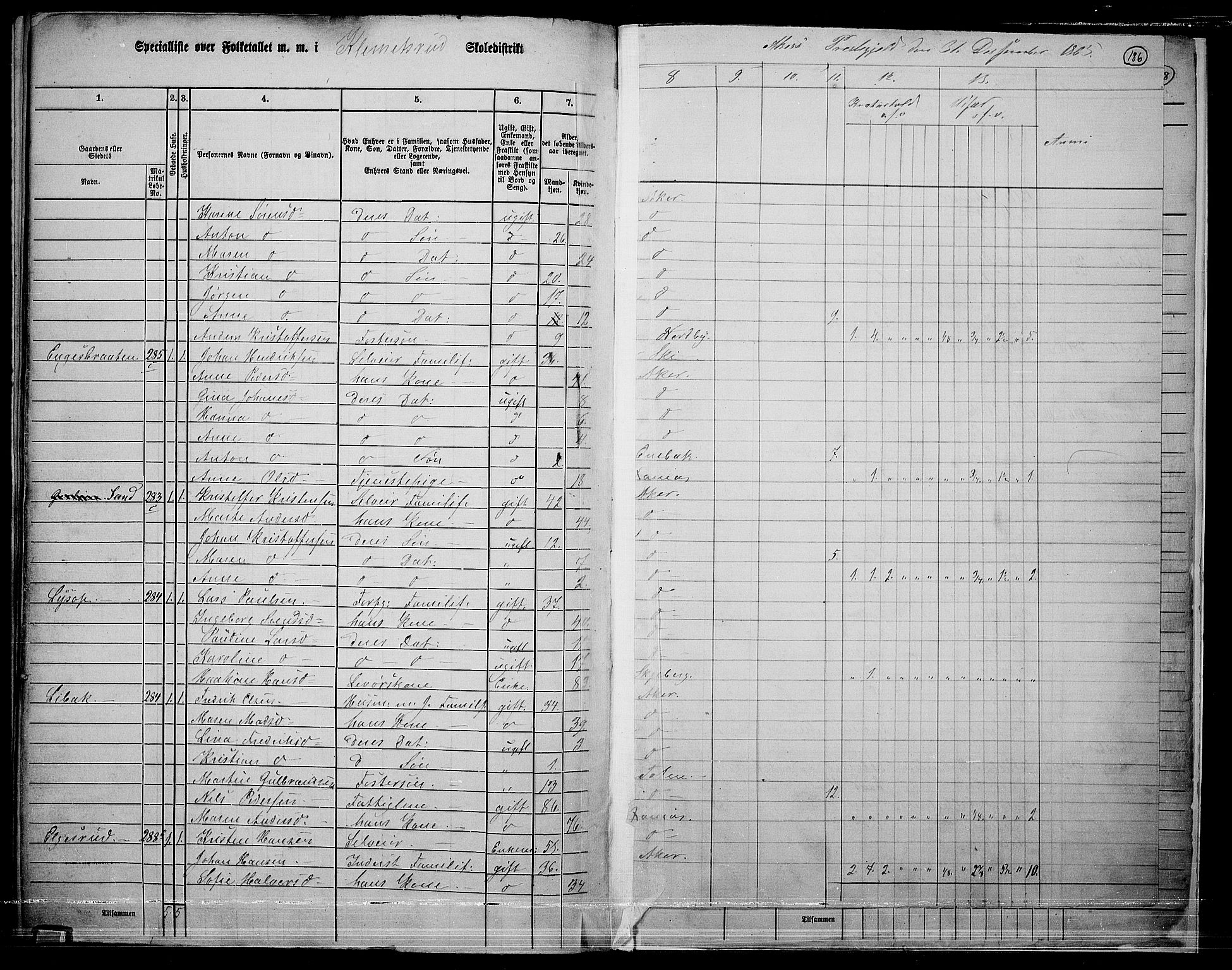 RA, Folketelling 1865 for 0218bP Østre Aker prestegjeld, 1865, s. 404