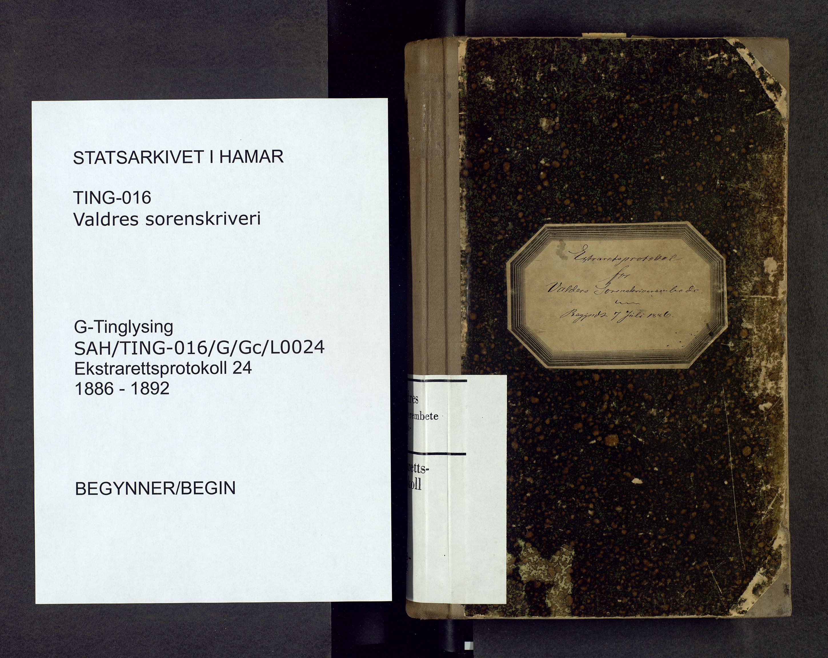 Valdres sorenskriveri, SAH/TING-016/G/Gc/L0024: Ekstrarettsprotokoll, 1886-1892