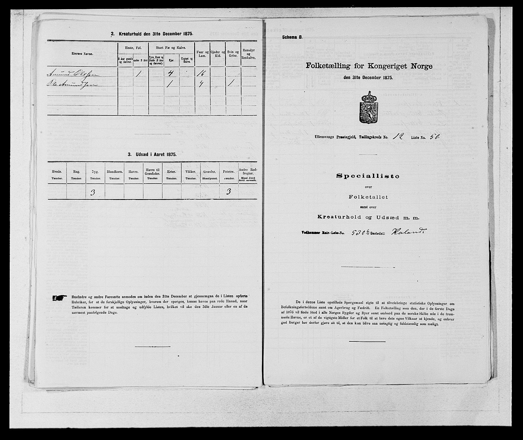 SAB, Folketelling 1875 for 1230P Ullensvang prestegjeld, 1875, s. 1317