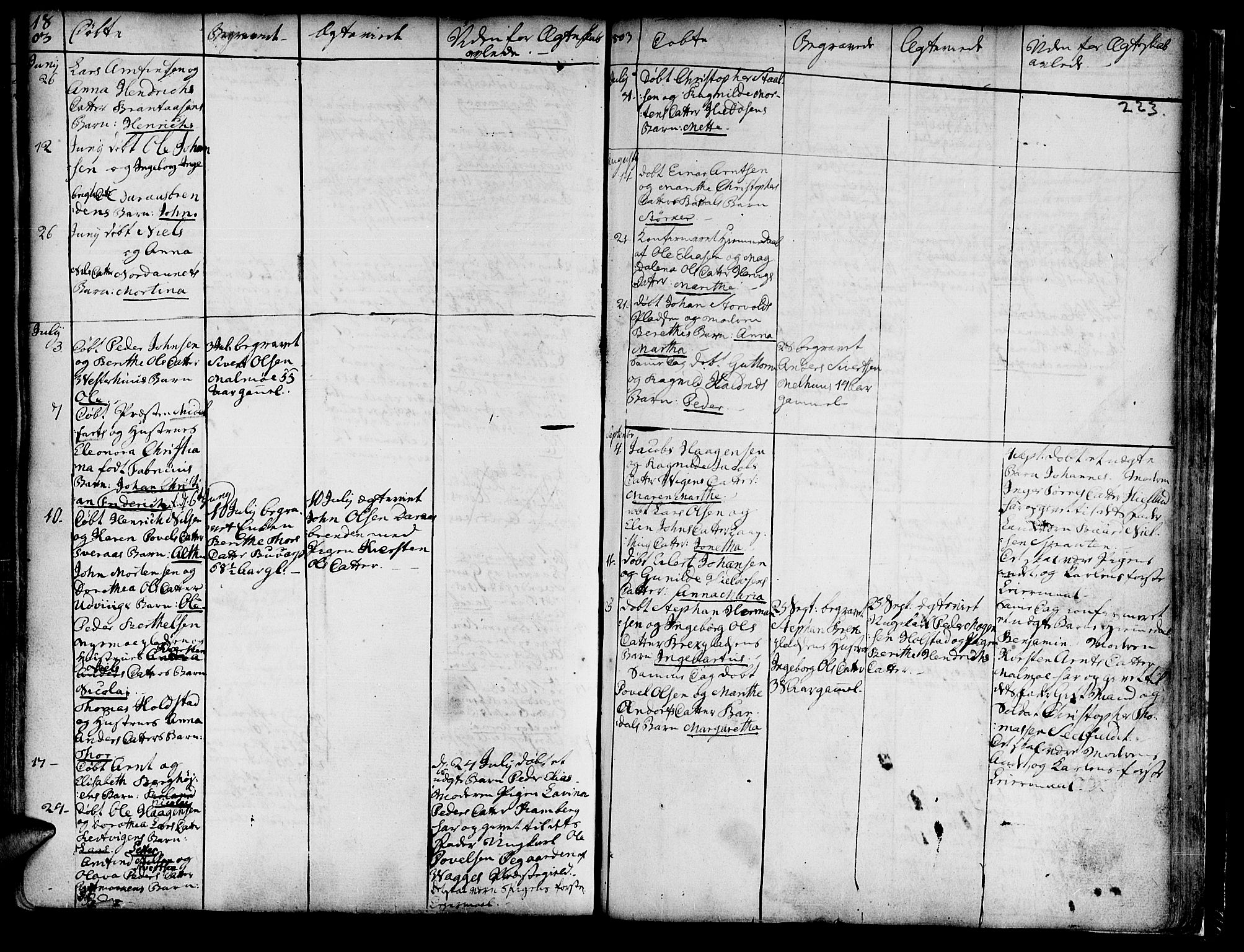Ministerialprotokoller, klokkerbøker og fødselsregistre - Nord-Trøndelag, AV/SAT-A-1458/741/L0385: Ministerialbok nr. 741A01, 1722-1815, s. 223