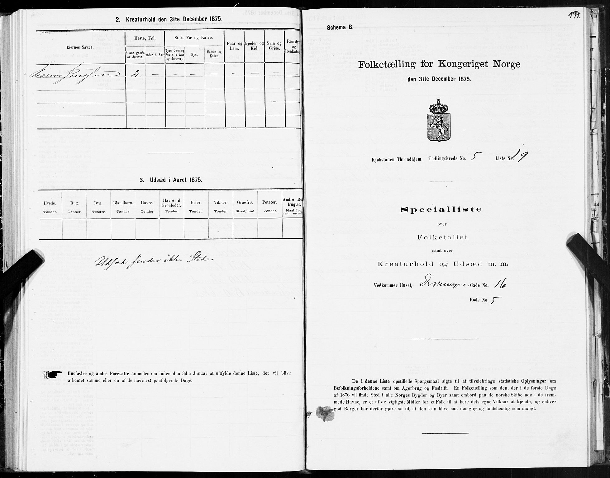 SAT, Folketelling 1875 for 1601 Trondheim kjøpstad, 1875, s. 3191