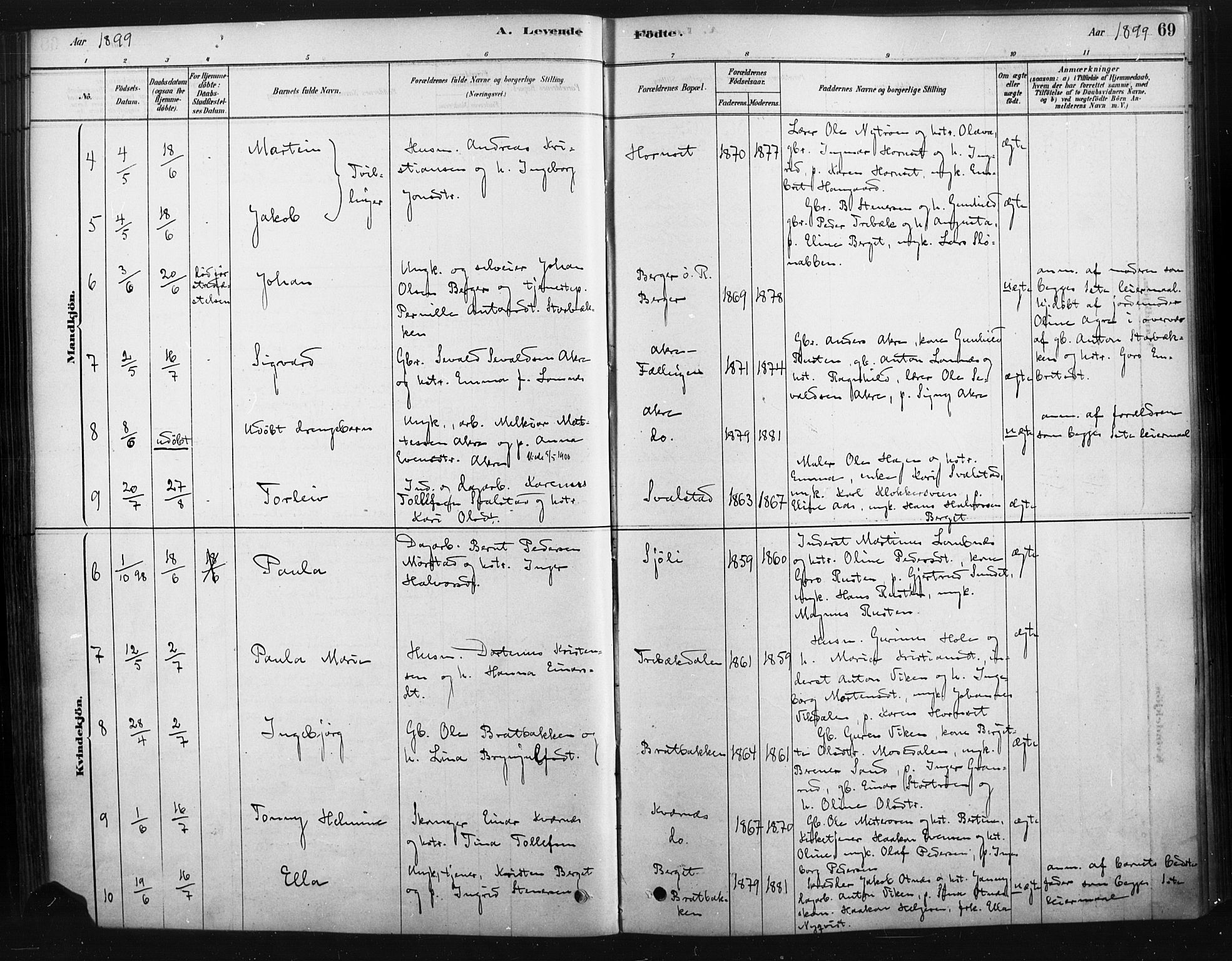 Rendalen prestekontor, SAH/PREST-054/H/Ha/Haa/L0010: Ministerialbok nr. 10, 1878-1901, s. 69