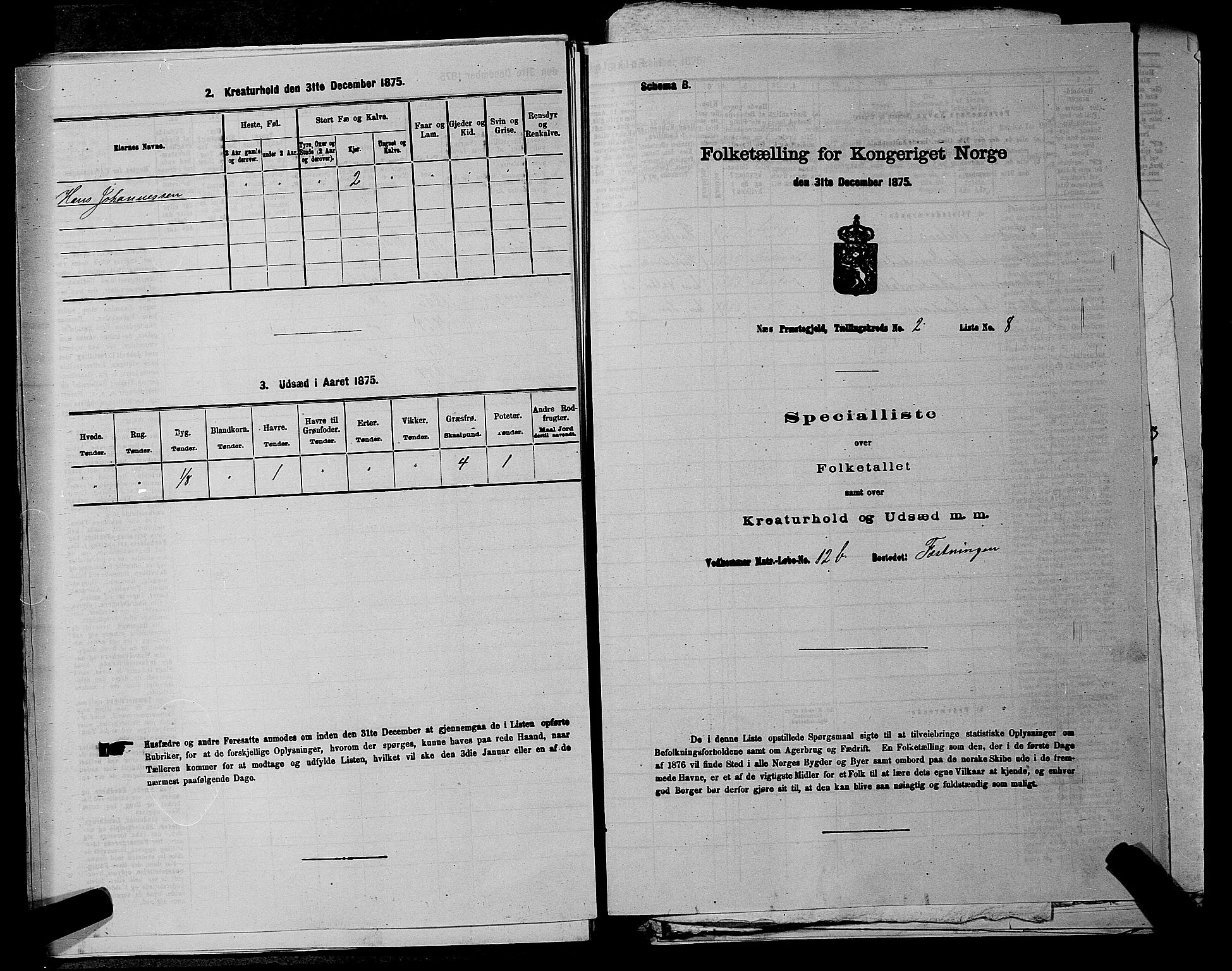 RA, Folketelling 1875 for 0236P Nes prestegjeld, 1875, s. 326