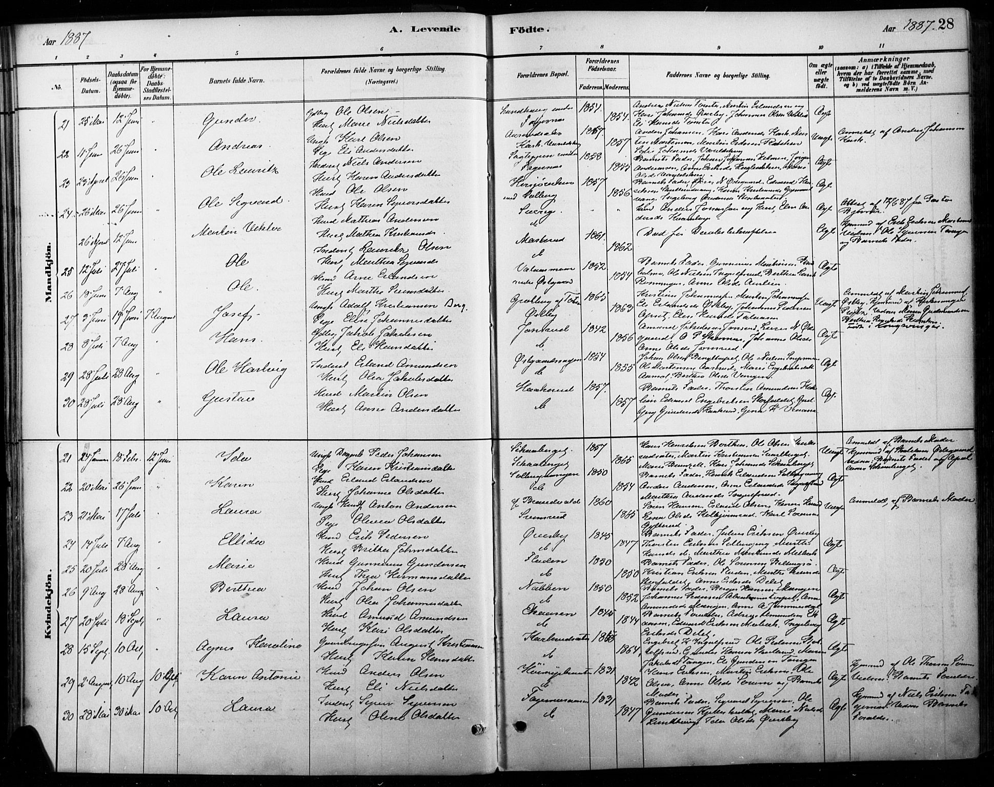 Vinger prestekontor, AV/SAH-PREST-024/H/Ha/Haa/L0015: Ministerialbok nr. 15, 1881-1900, s. 28