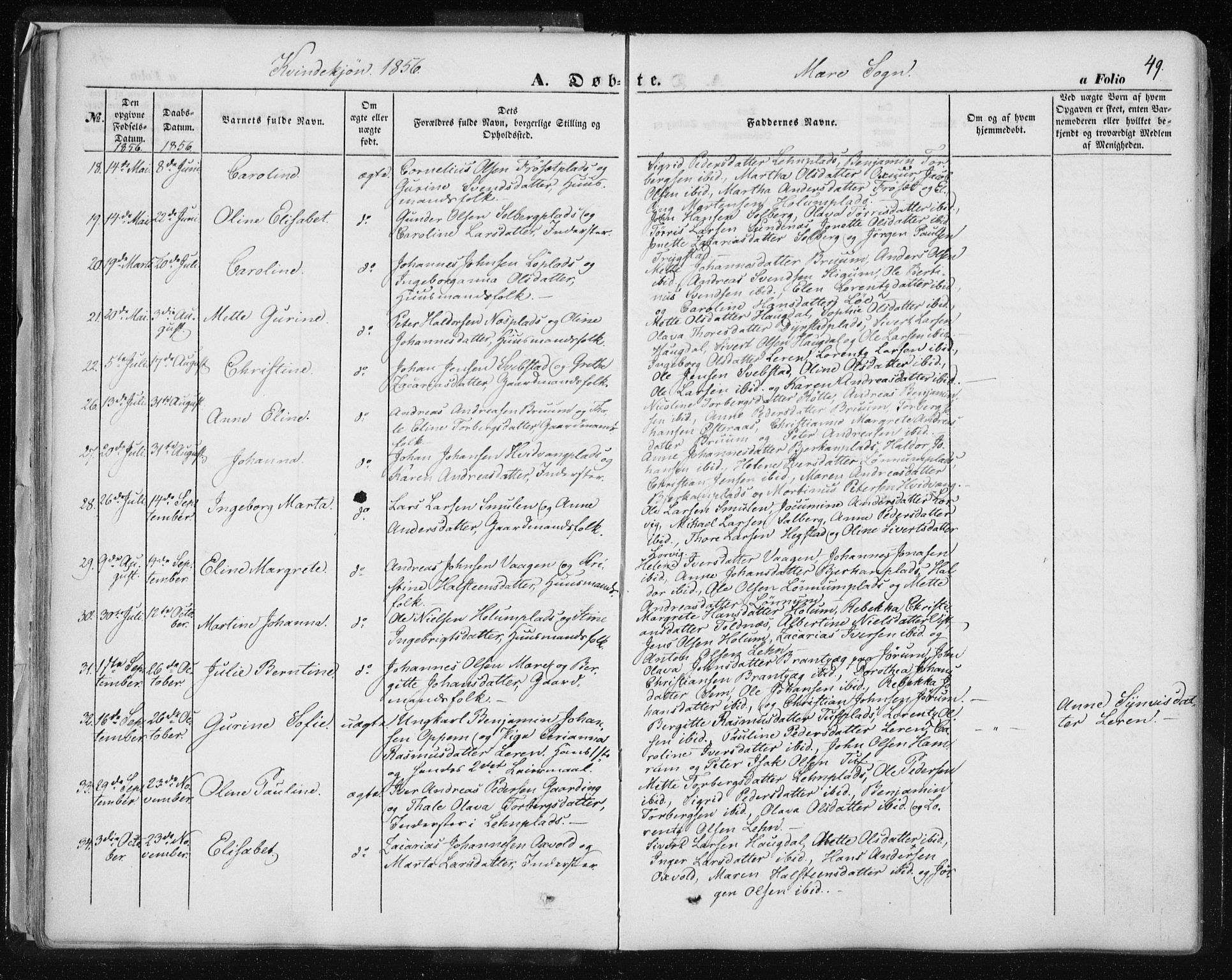 Ministerialprotokoller, klokkerbøker og fødselsregistre - Nord-Trøndelag, SAT/A-1458/735/L0342: Ministerialbok nr. 735A07 /1, 1849-1862, s. 49