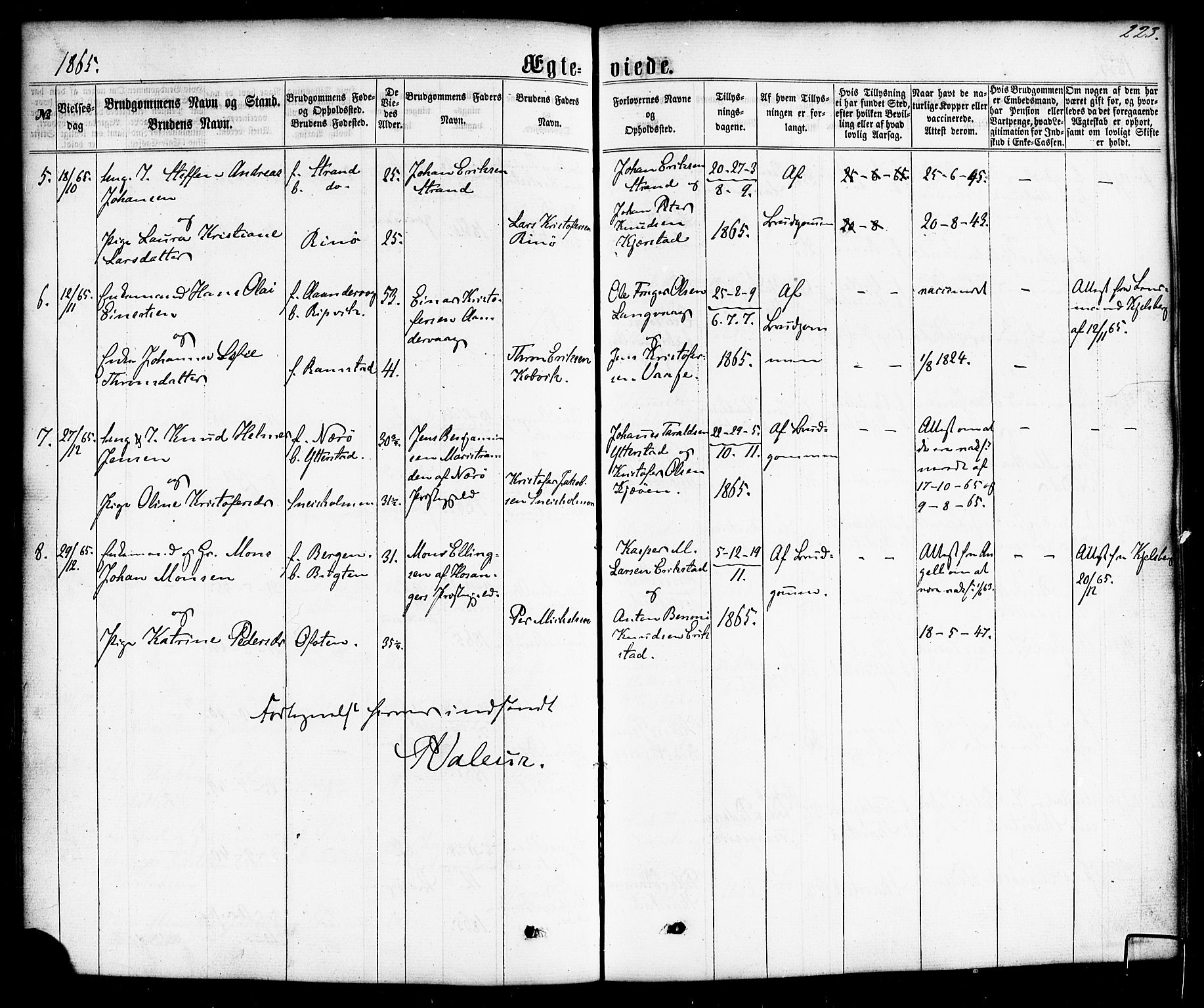 Ministerialprotokoller, klokkerbøker og fødselsregistre - Nordland, AV/SAT-A-1459/872/L1034: Ministerialbok nr. 872A09, 1864-1884, s. 223