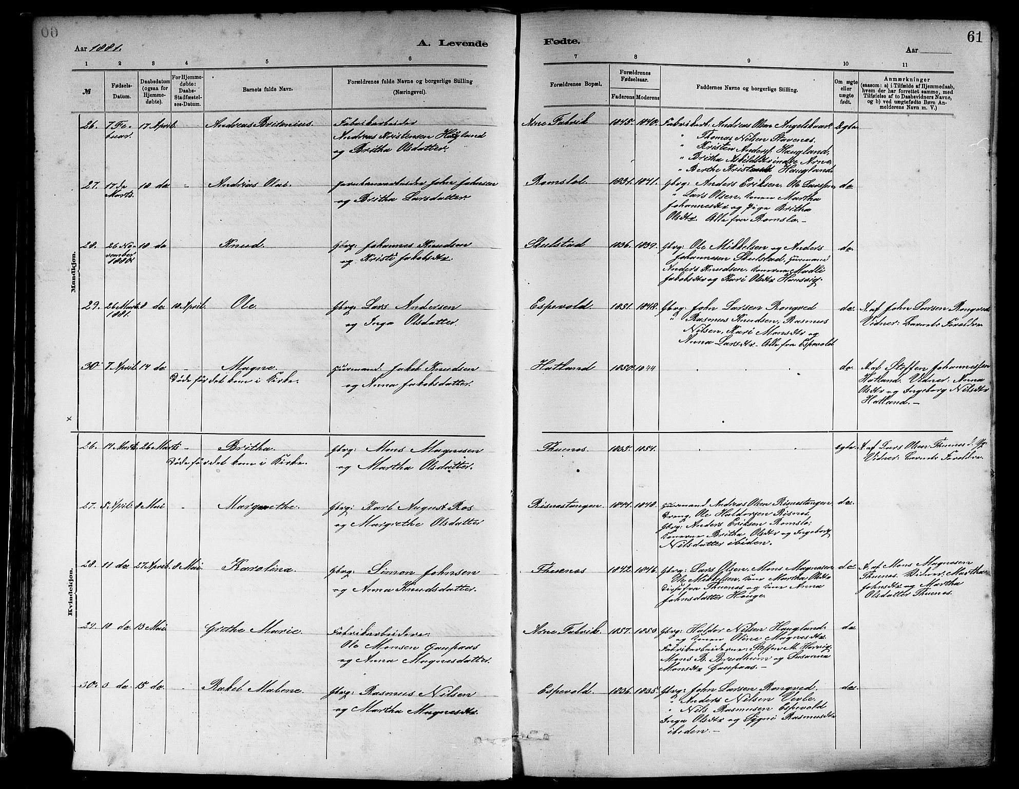 Haus sokneprestembete, AV/SAB-A-75601/H/Haa: Ministerialbok nr. A 19I, 1878-1886, s. 61