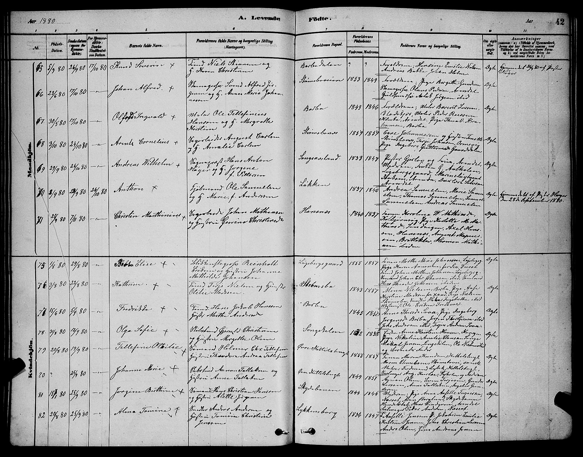 Barbu sokneprestkontor, AV/SAK-1111-0003/F/Fb/L0001: Klokkerbok nr. B 1, 1878-1890, s. 42