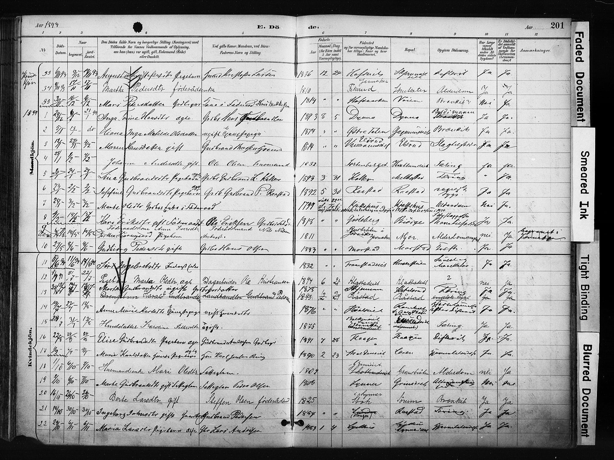 Gran prestekontor, AV/SAH-PREST-112/H/Ha/Haa/L0017: Ministerialbok nr. 17, 1889-1897, s. 201