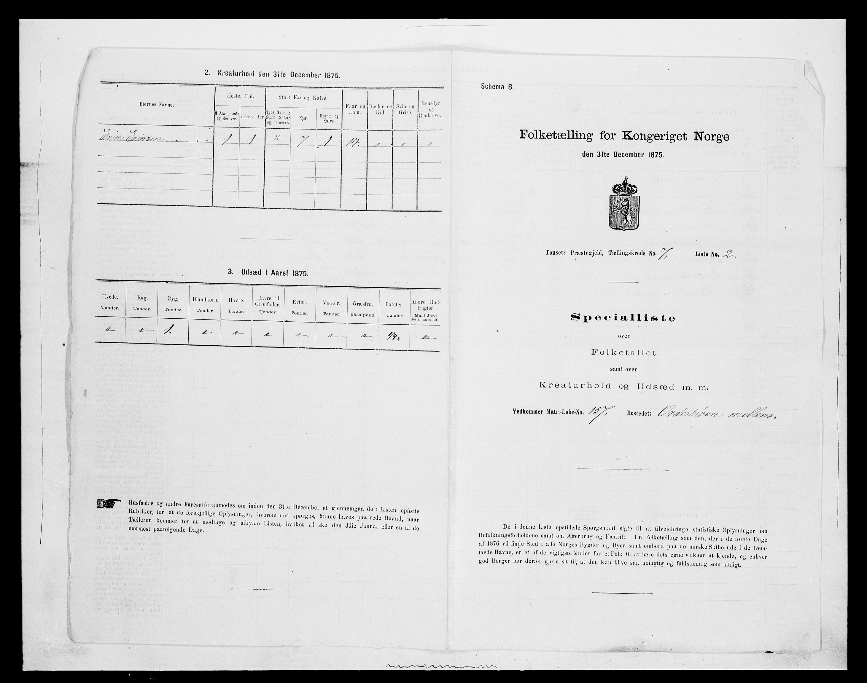 SAH, Folketelling 1875 for 0437P Tynset prestegjeld, 1875, s. 727