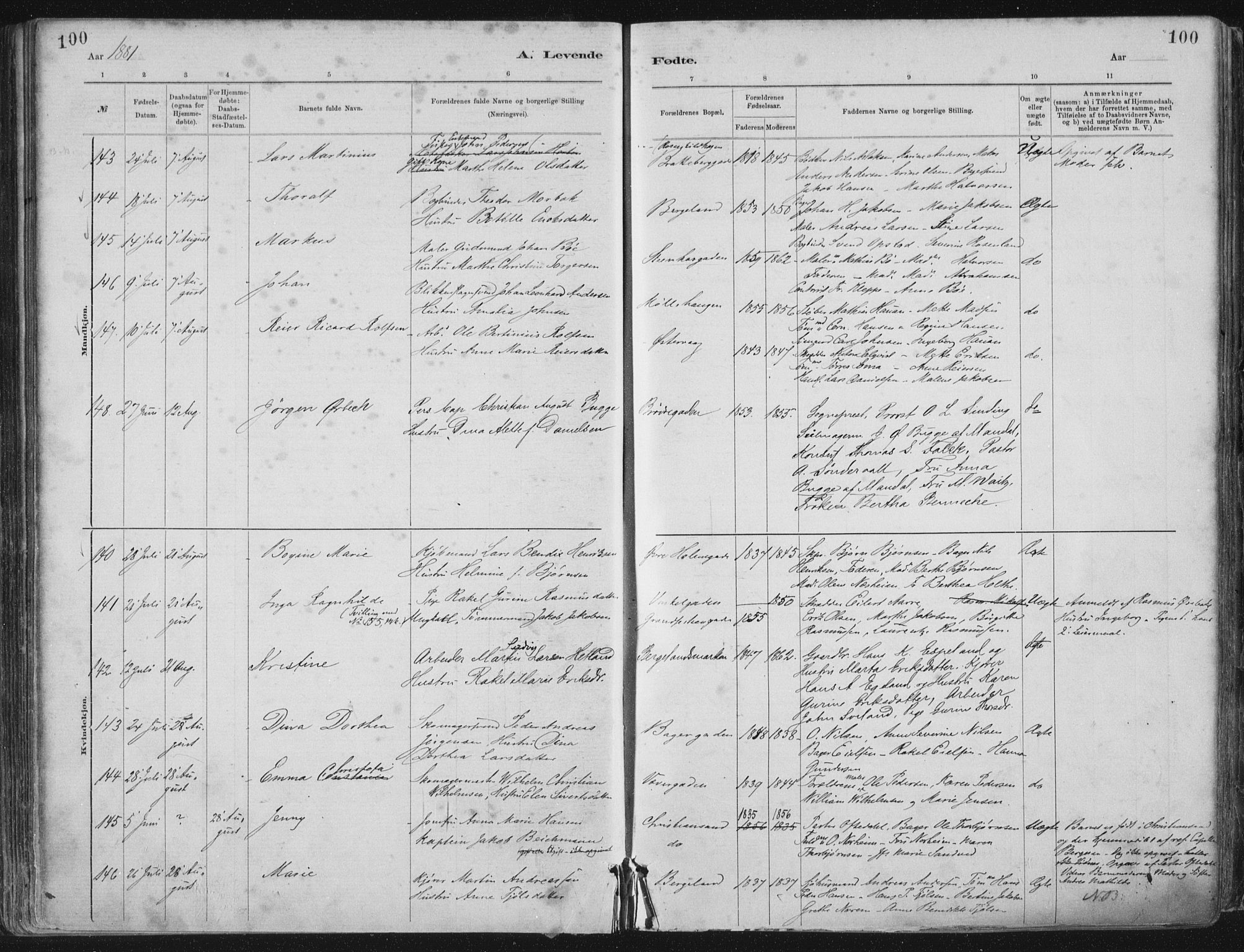 St. Petri sokneprestkontor, AV/SAST-A-101813/001/30/30BA/L0015: Ministerialbok nr. A 15, 1879-1888, s. 100