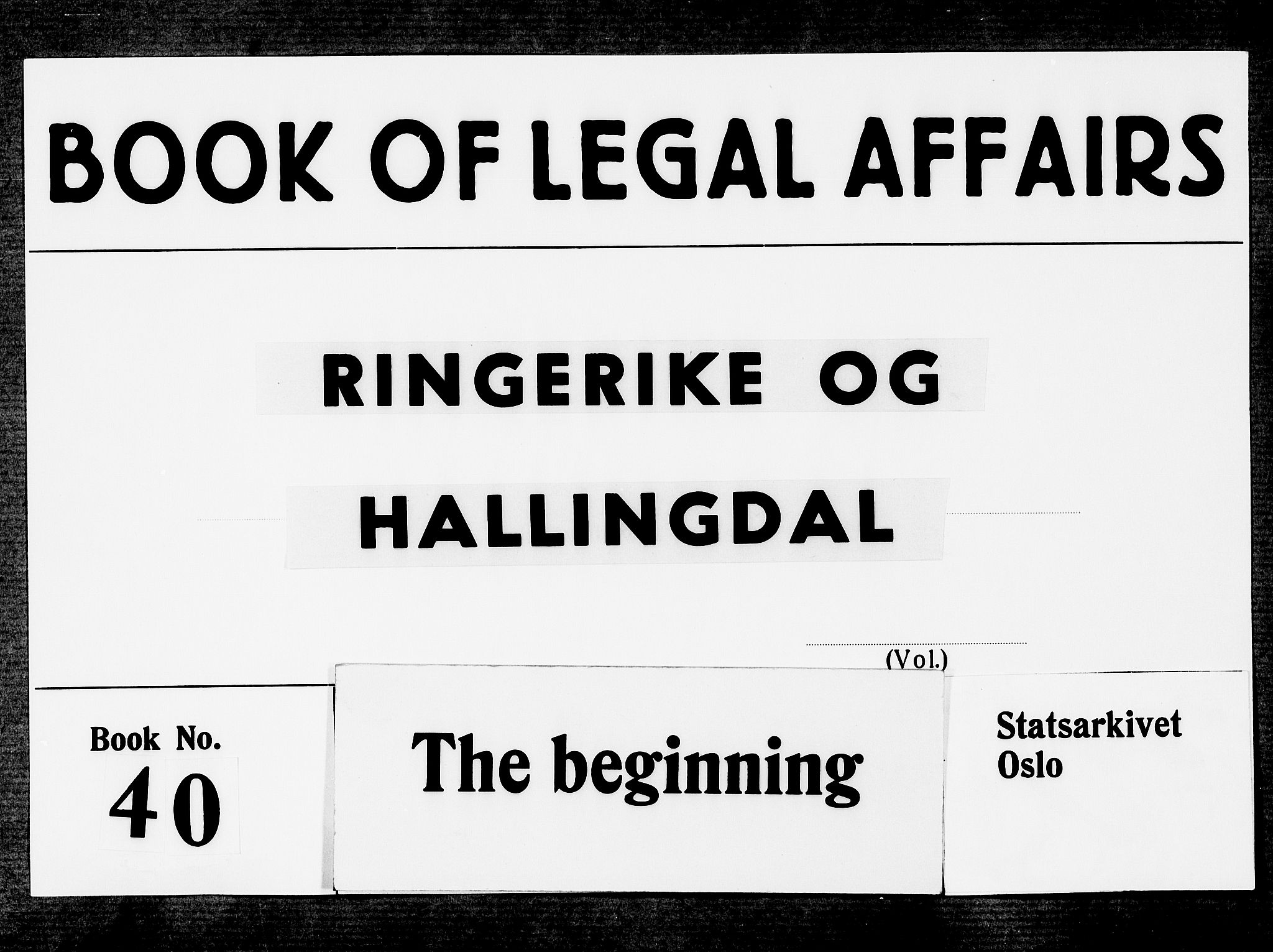 Ringerike og Hallingdal sorenskriveri, SAKO/A-81/F/Fa/Faa/L0021: Tingbok, 1690-1695
