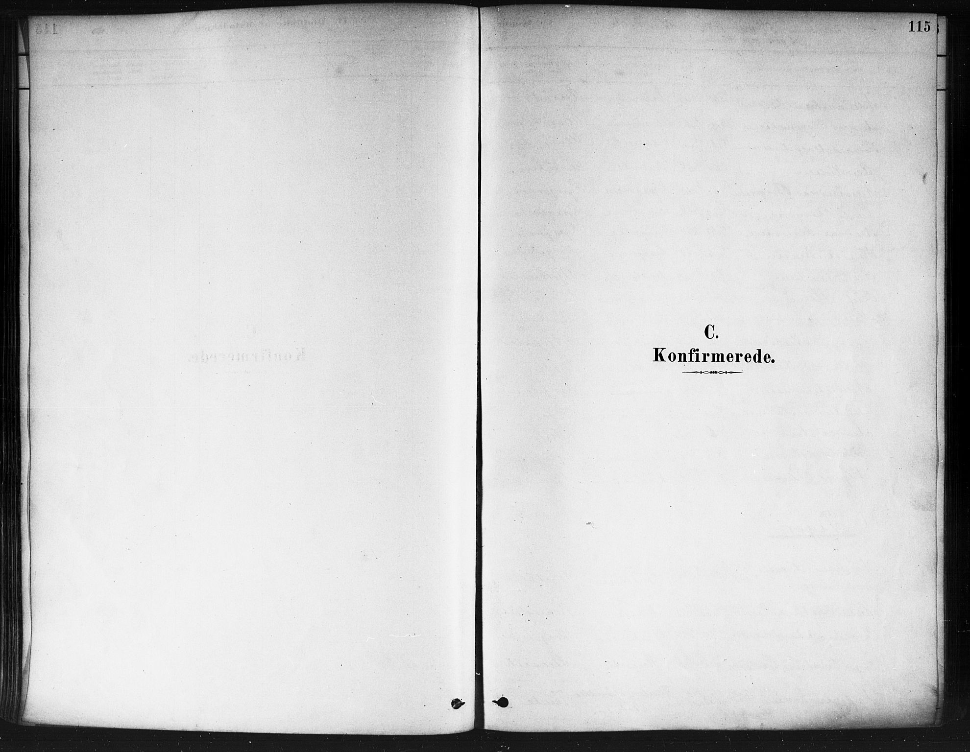 Nedre Eiker kirkebøker, SAKO/A-612/F/Fa/L0002: Ministerialbok nr. 2, 1878-1885, s. 115