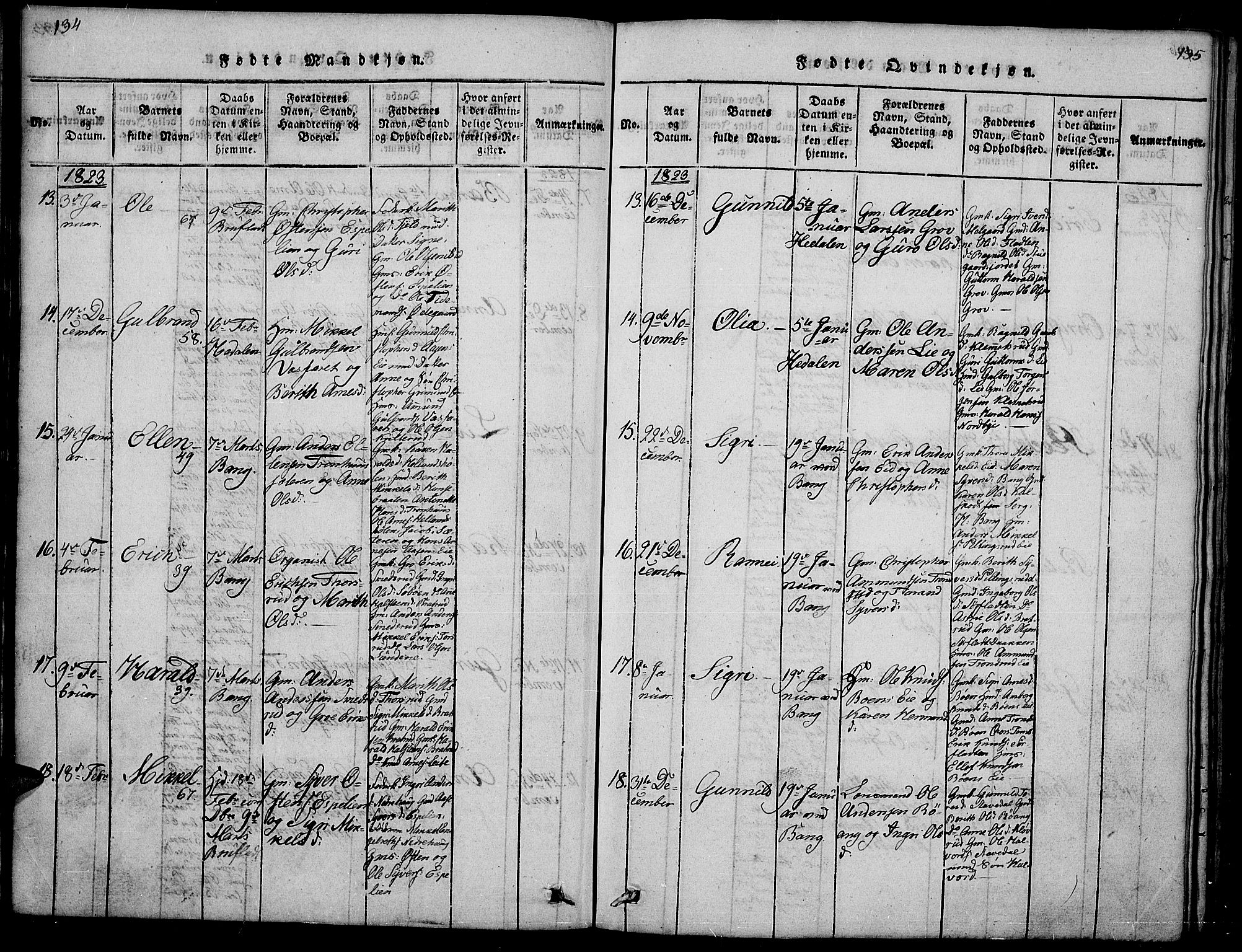 Sør-Aurdal prestekontor, SAH/PREST-128/H/Ha/Hab/L0001: Klokkerbok nr. 1, 1815-1826, s. 134-135