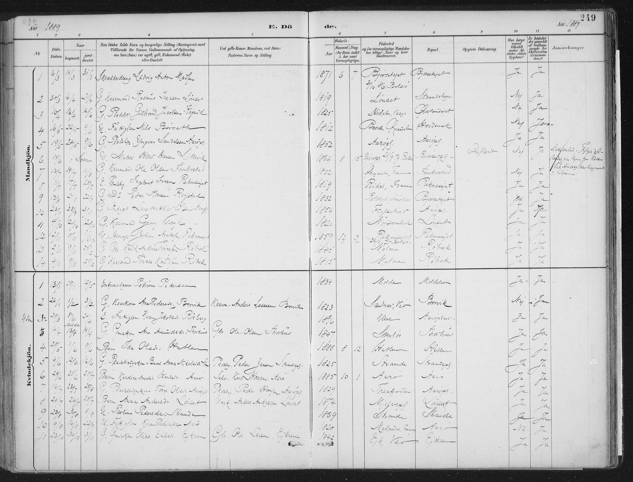 Ministerialprotokoller, klokkerbøker og fødselsregistre - Møre og Romsdal, SAT/A-1454/555/L0658: Ministerialbok nr. 555A09, 1887-1917, s. 249