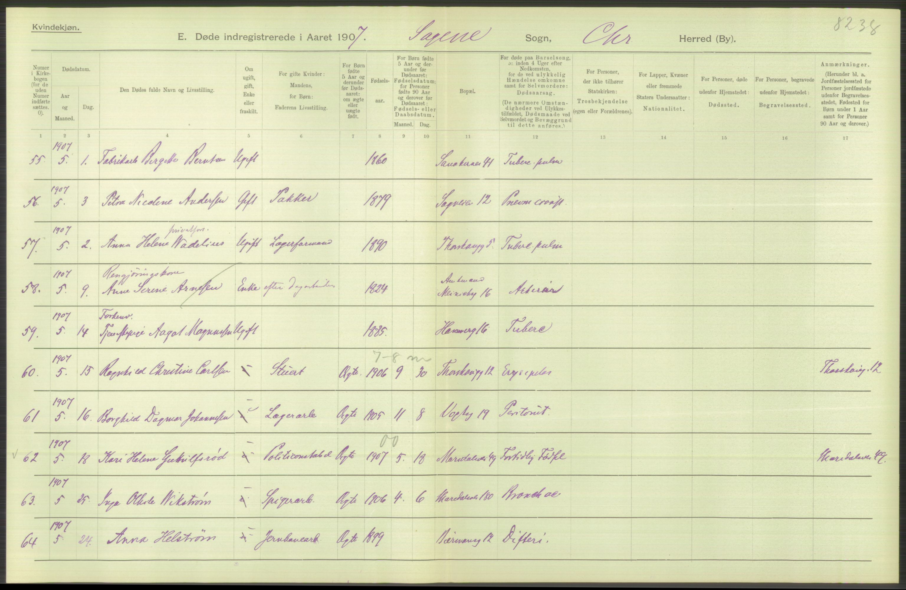 Statistisk sentralbyrå, Sosiodemografiske emner, Befolkning, AV/RA-S-2228/D/Df/Dfa/Dfae/L0009: Kristiania: Døde, 1907, s. 48