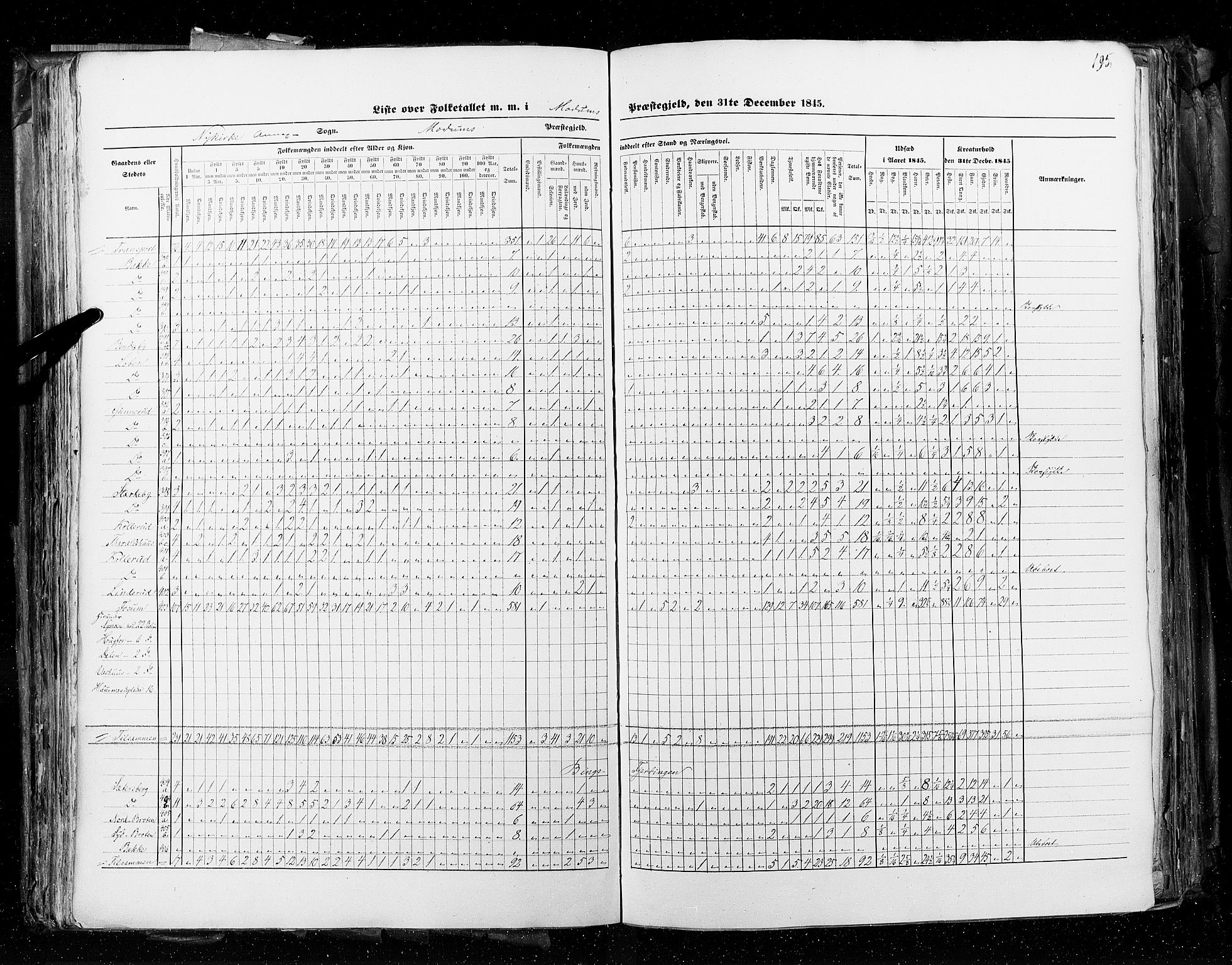 RA, Folketellingen 1845, bind 4: Buskerud amt og Jarlsberg og Larvik amt, 1845, s. 195