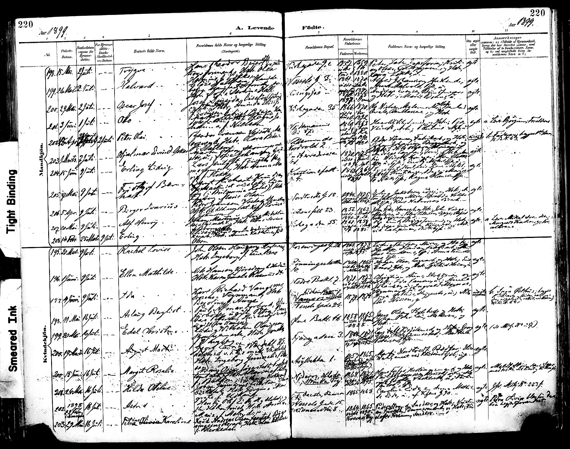 Ministerialprotokoller, klokkerbøker og fødselsregistre - Sør-Trøndelag, SAT/A-1456/604/L0197: Ministerialbok nr. 604A18, 1893-1900, s. 220