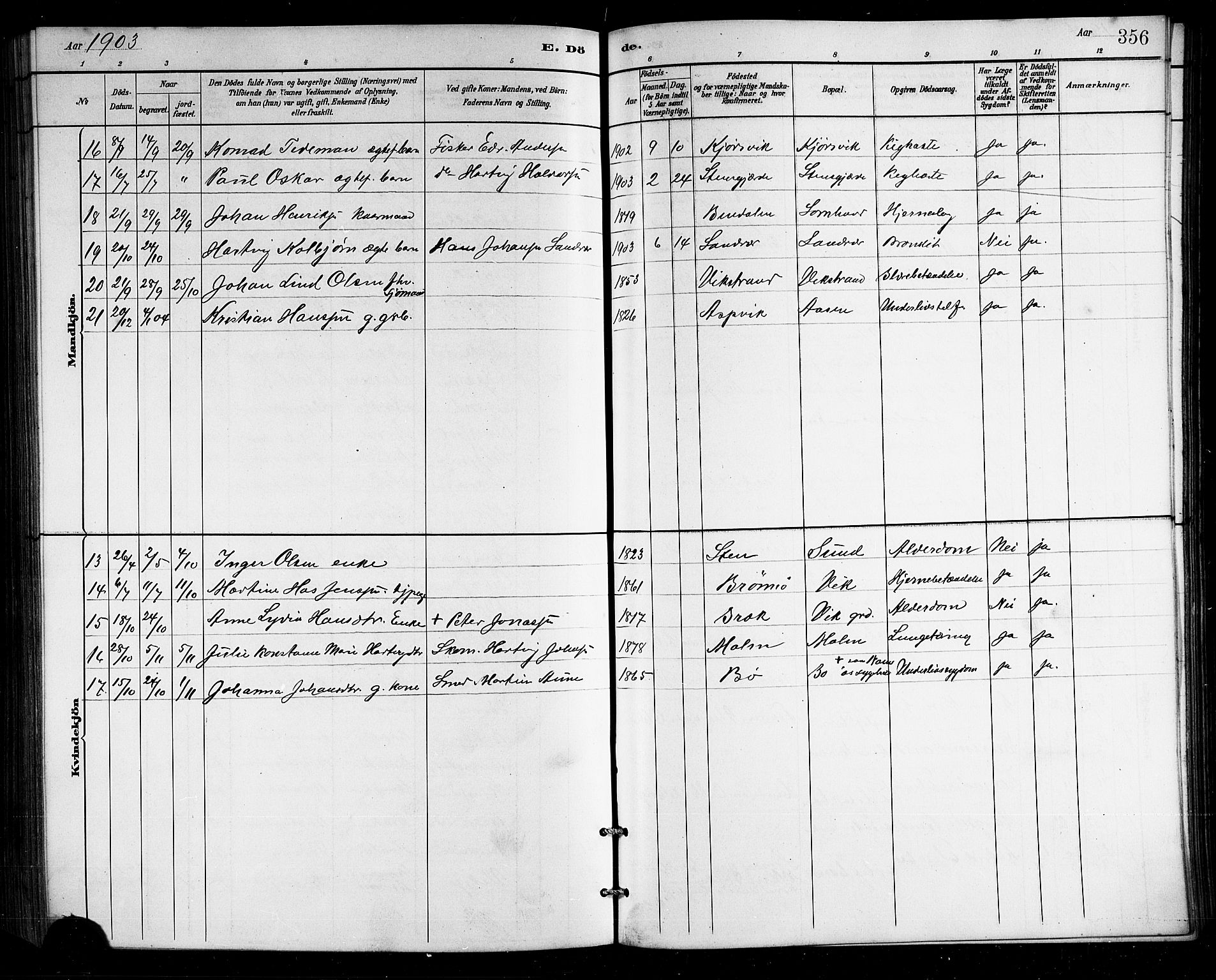 Ministerialprotokoller, klokkerbøker og fødselsregistre - Nordland, SAT/A-1459/812/L0188: Klokkerbok nr. 812C06, 1884-1912, s. 356