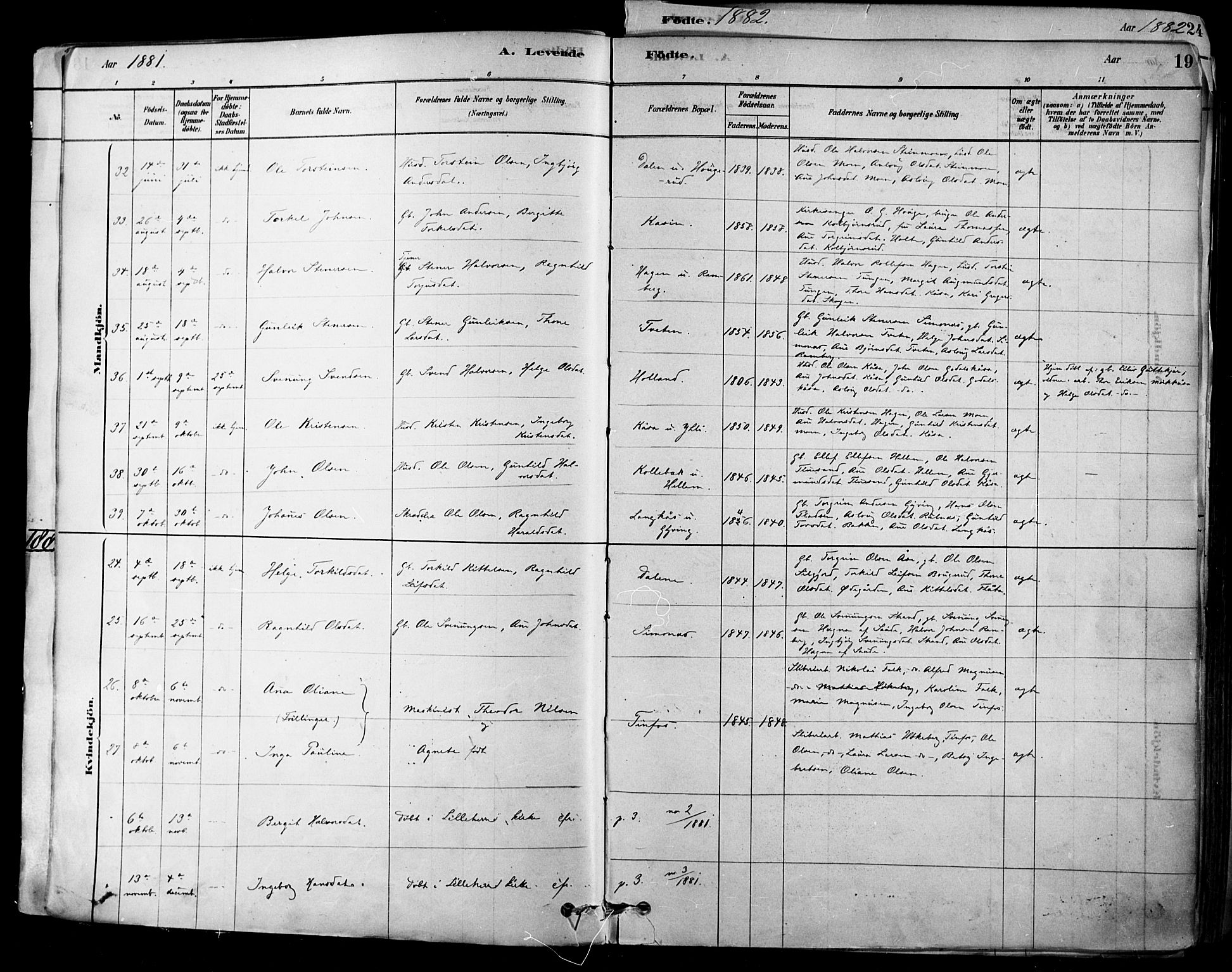Heddal kirkebøker, AV/SAKO-A-268/F/Fa/L0008: Ministerialbok nr. I 8, 1878-1903, s. 19