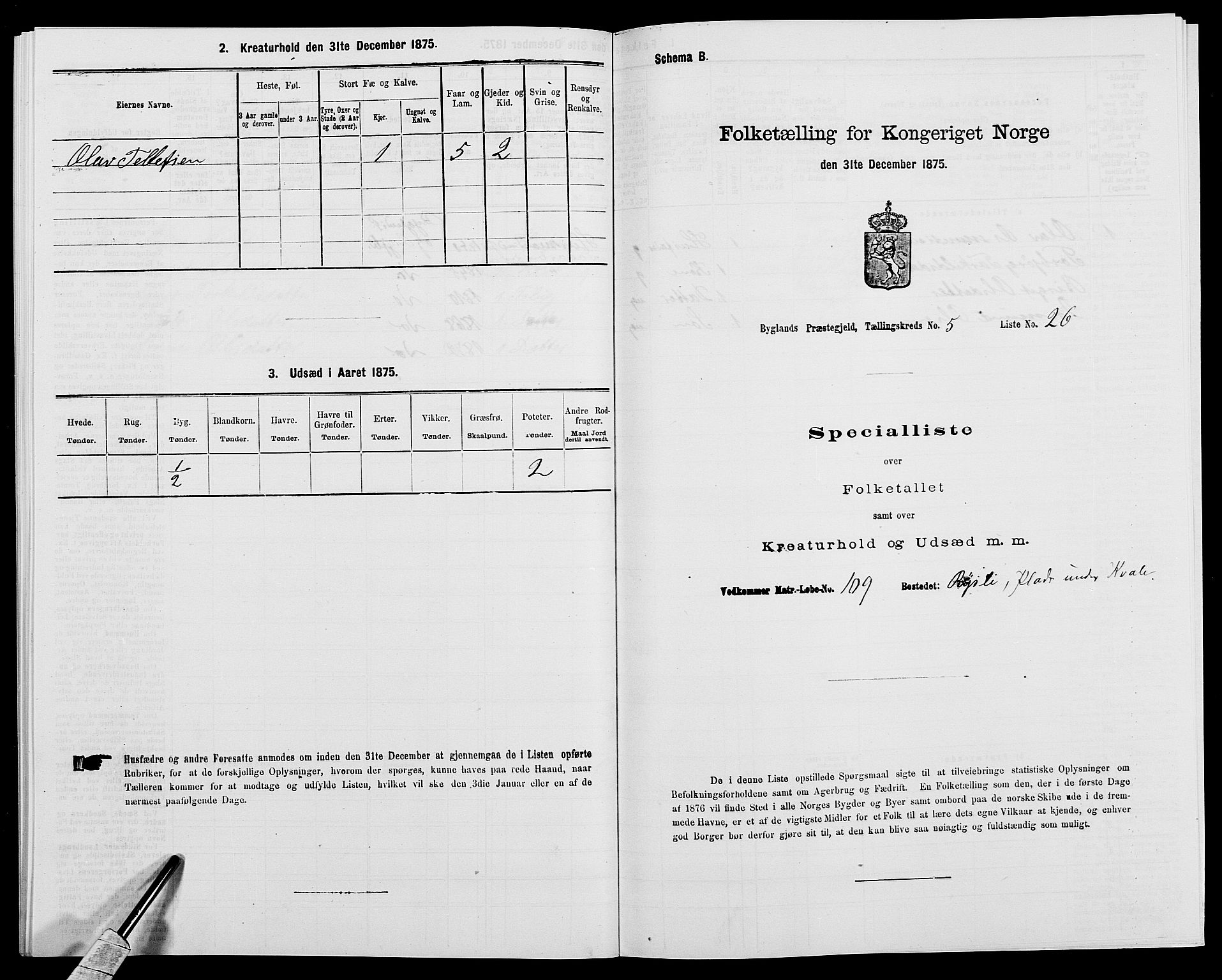 SAK, Folketelling 1875 for 0938P Bygland prestegjeld, 1875, s. 450