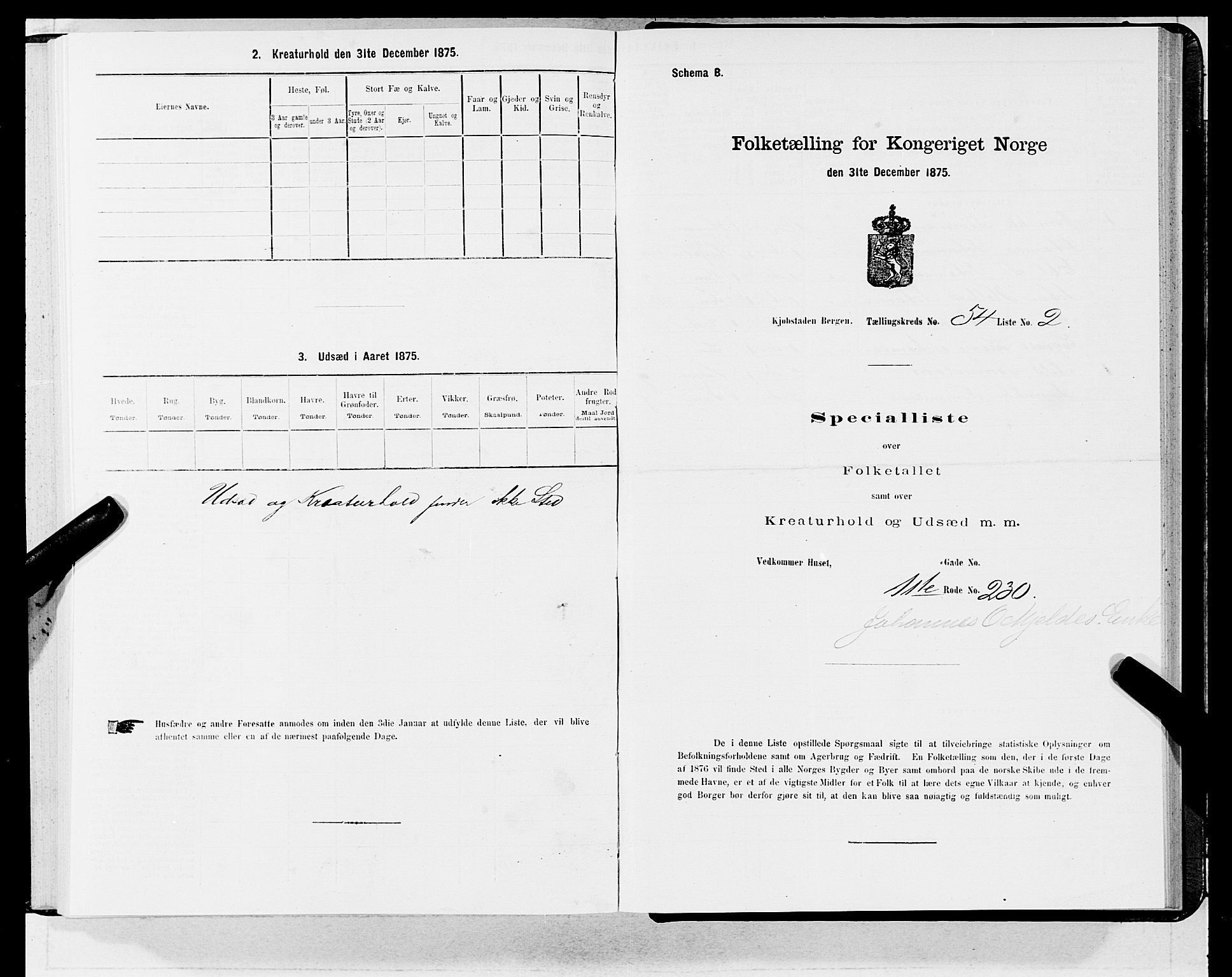 SAB, Folketelling 1875 for 1301 Bergen kjøpstad, 1875, s. 2842