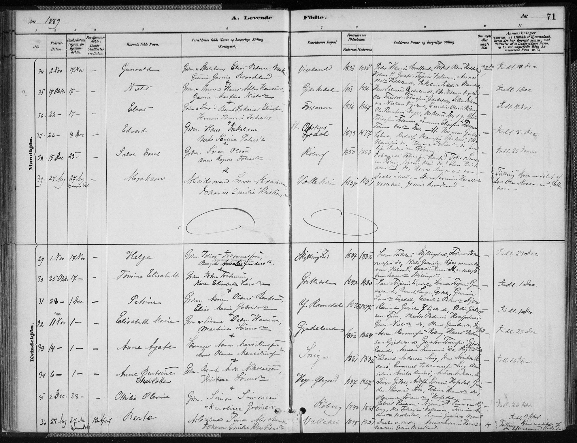 Sør-Audnedal sokneprestkontor, AV/SAK-1111-0039/F/Fa/Fab/L0009: Ministerialbok nr. A 9, 1880-1895, s. 71