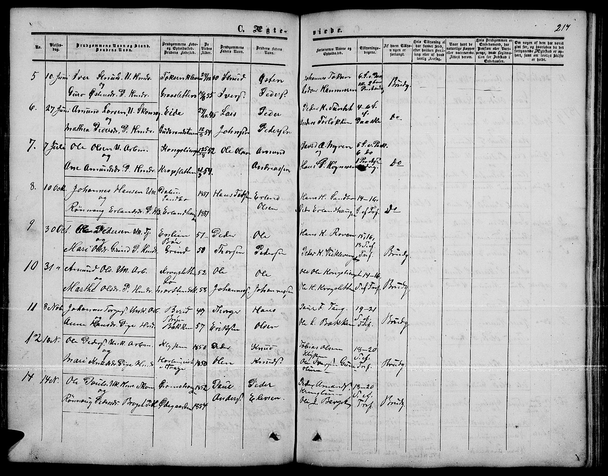 Nord-Fron prestekontor, SAH/PREST-080/H/Ha/Hab/L0001: Klokkerbok nr. 1, 1851-1883, s. 217