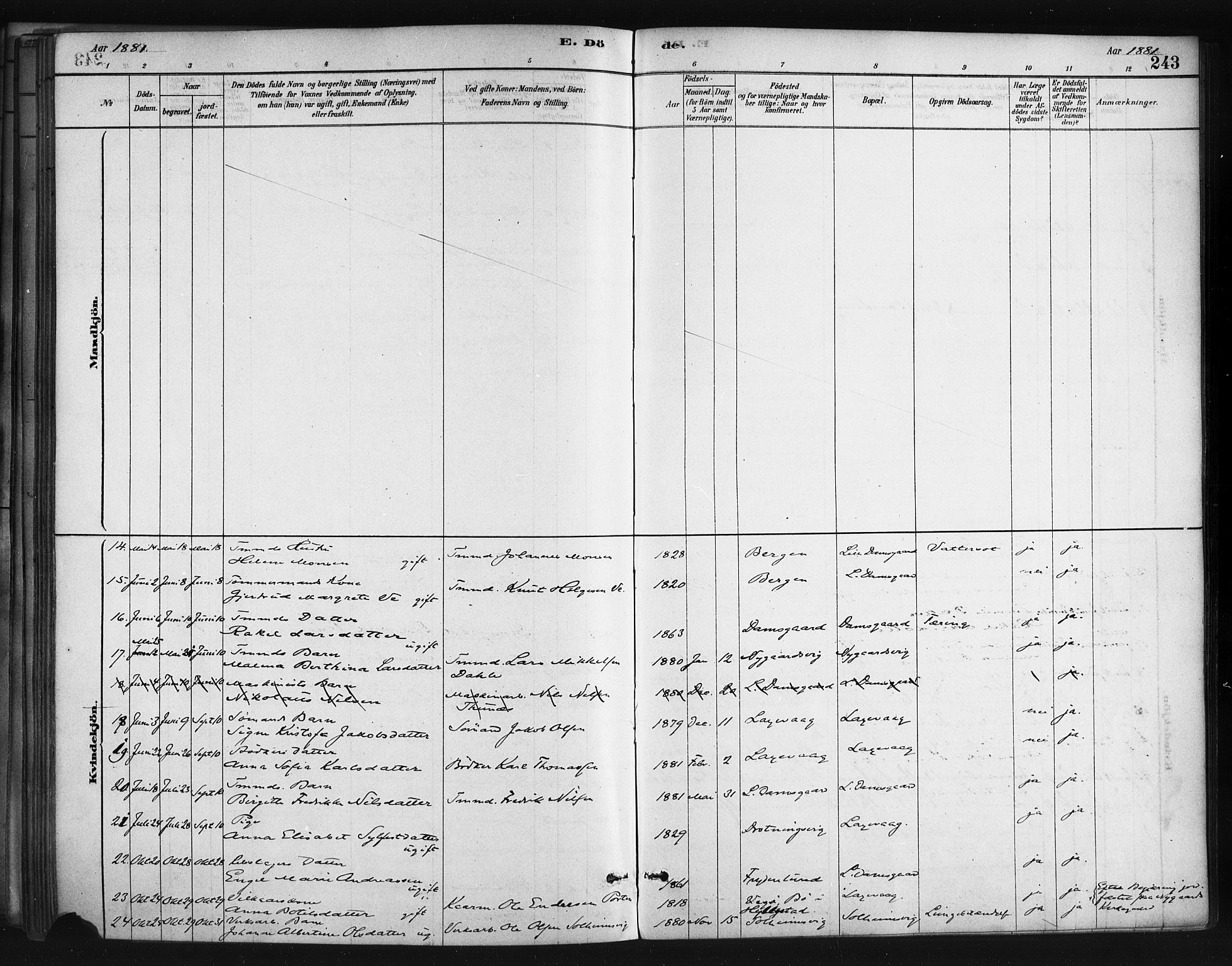 Askøy Sokneprestembete, AV/SAB-A-74101/H/Ha/Haa/Haae/L0002: Ministerialbok nr. E 2, 1878-1891, s. 243