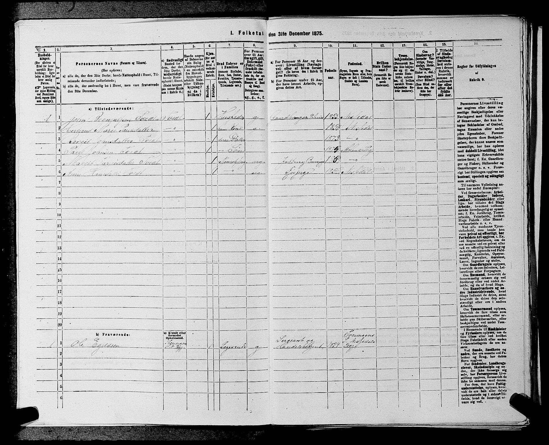 SAKO, Folketelling 1875 for 0830P Nissedal prestegjeld, 1875, s. 116