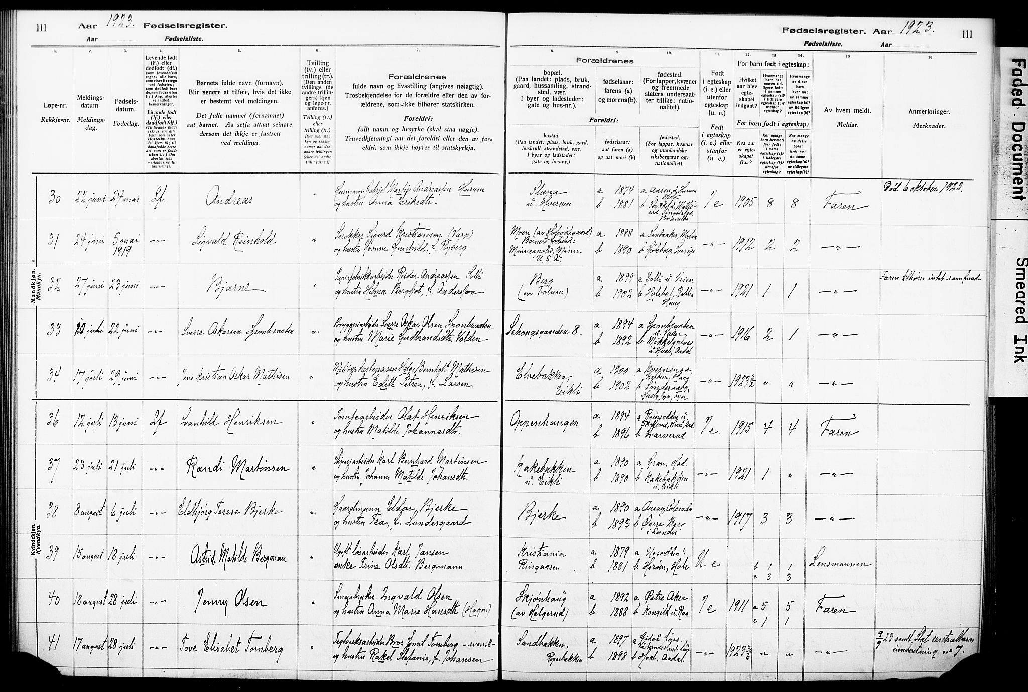 Norderhov kirkebøker, AV/SAKO-A-237/J/Ja/L0001: Fødselsregister nr. 1, 1916-1930, s. 111