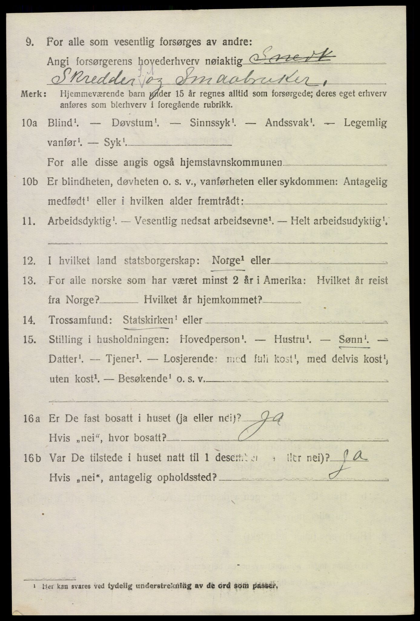 SAK, Folketelling 1920 for 0936 Hornnes herred, 1920, s. 2492